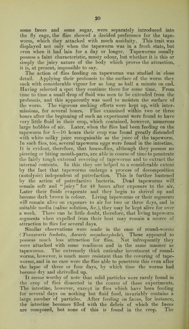 some faeces and some sugar, were separately introduced into the fly cage, the flies showed a decided preference for the tape- worm, which they attacked with much assiduity. This trait was displayed not only when the tapeworm wTas in a fresh state, but even when it had lain for a day or longer. Tapeworms usually possess a faint characteristic, musty odour, but whether it is this or simply the juicy nature of the body which proves the attraction, it is, at present, impossible to say. The action of flies feeding on tapeworms was studied in close detail. Applying their proboscis to the surface of the worm they suck with considerable vigour for as long as half a minute on end. Having selected a spot they continue there for some time. From time to time a small drop of fluid was seen to be extruded from the proboscis, and this apparently was used to moisten the surface of the worm. The vigorous sucking efforts were kept up, with inter- missions, for several hours. Flies examined within two or three hours after the beginning of such an experiment were found to have very little fluid in their crop, which contained, however, numerous large bubbles of air. Later, when the flies had been feeding on the tapeworm for 5—10 hours their crop was found greatly distended with white milky juice recognisable as the juice of the tapeworm. In such flies, too, several tapeworm eggs were found in the intestine. It is evident, therefore, that house-flies, although they possess no piercing or biting mouth-parts, are able in course of time to penetrate the fairly tough external covering of tapeworms and to extract the internal contents. In this they are helped to a considerable extent by the fact that tapeworms undergo a process of decomposition (autolysis) independent of putrefaction. This is further hastened by the action of putrefactive bacteria. Dead tapeworms will remain soft and “juicy” for 48 hours after exposure to the air. Later their fluids evaporate and they begin to shrivel up and become dark brown in colour. Living tapeworms or their segments will remain alive on exposure to air for two or three days, and in suitable media (saline solution, &c.), they may be kept alive for over a week. There can be little doubt, therefore, that living tapeworm segments when expelled from their host may remain a source of attraction to flies for several days. Similar observations were made in the case of round-worms (Toxascaris limbata, Ascaris megalocephala). These appeared to possess much less attraction for flies. Not infrequently they were attacked with some readiness and in the same manner as tapeworms. The extremely thick cuticular investment of round- worms, however, is much more resistant than the covering of tape- worms, and in no case were the flies able to penetrate this even after the lapse of three or four days, by which time the worms had become dry and shrivelled up. It seems worthy of note that solid particles were rarely found in the crop of flies dissected in the course of these experiments. The intestine, however, except in flies which have been feeding for several days on nothing but fluid food, invariably contains a large number of particles. After feeding on faeces, for instance, the intestine becomes filled with the debris of which the faeces are composed, but none of this is found in the crop. The