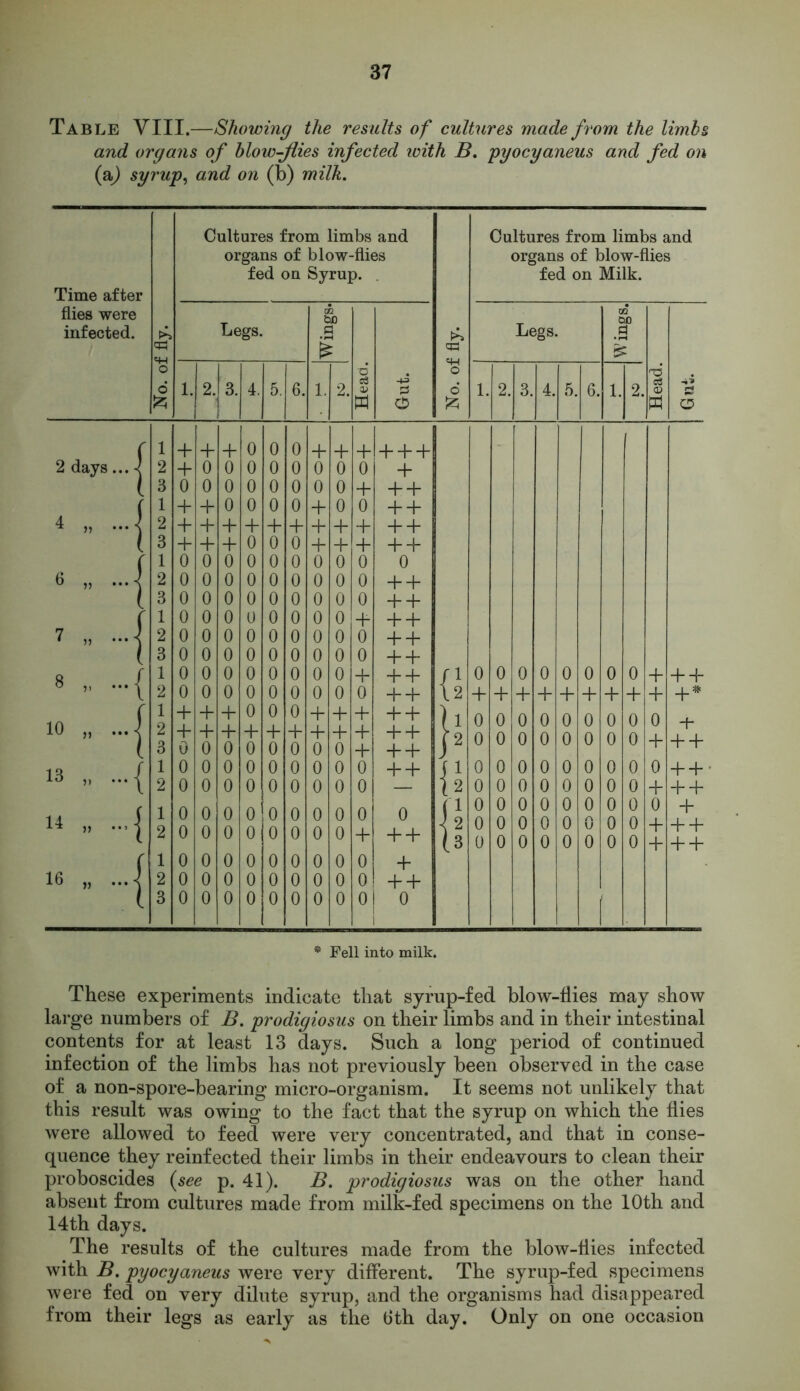 Table VIII.—Showing the results of cultures made from the limbs and organs of blowflies infected with B. pyocyaneus and fed on (a,) syrup, and on (b) milk. These experiments indicate that syrup-fed blow-flies may show large numbers of B. prodigiosus on their limbs and in their intestinal contents for at least 13 days. Such a long period of continued infection of the limbs has not previously been observed in the case of a non-spore-bearing micro-organism. It seems not unlikely that this result was owing to the fact that the syrup on which the flies were allowed to feed were very concentrated, and that in conse- quence they reinfected their limbs in their endeavours to clean their proboscides {see p. 41). B. prodigiosus was on the other hand absent from cultures made from milk-fed specimens on the 10th and 14th days. The results of the cultures made from the blow-flies infected with B. pyocyaneus were very different. The syrup-fed specimens were fed on very dilute syrup, and the organisms had disappeared from their legs as early as the 6th day. Only on one occasion