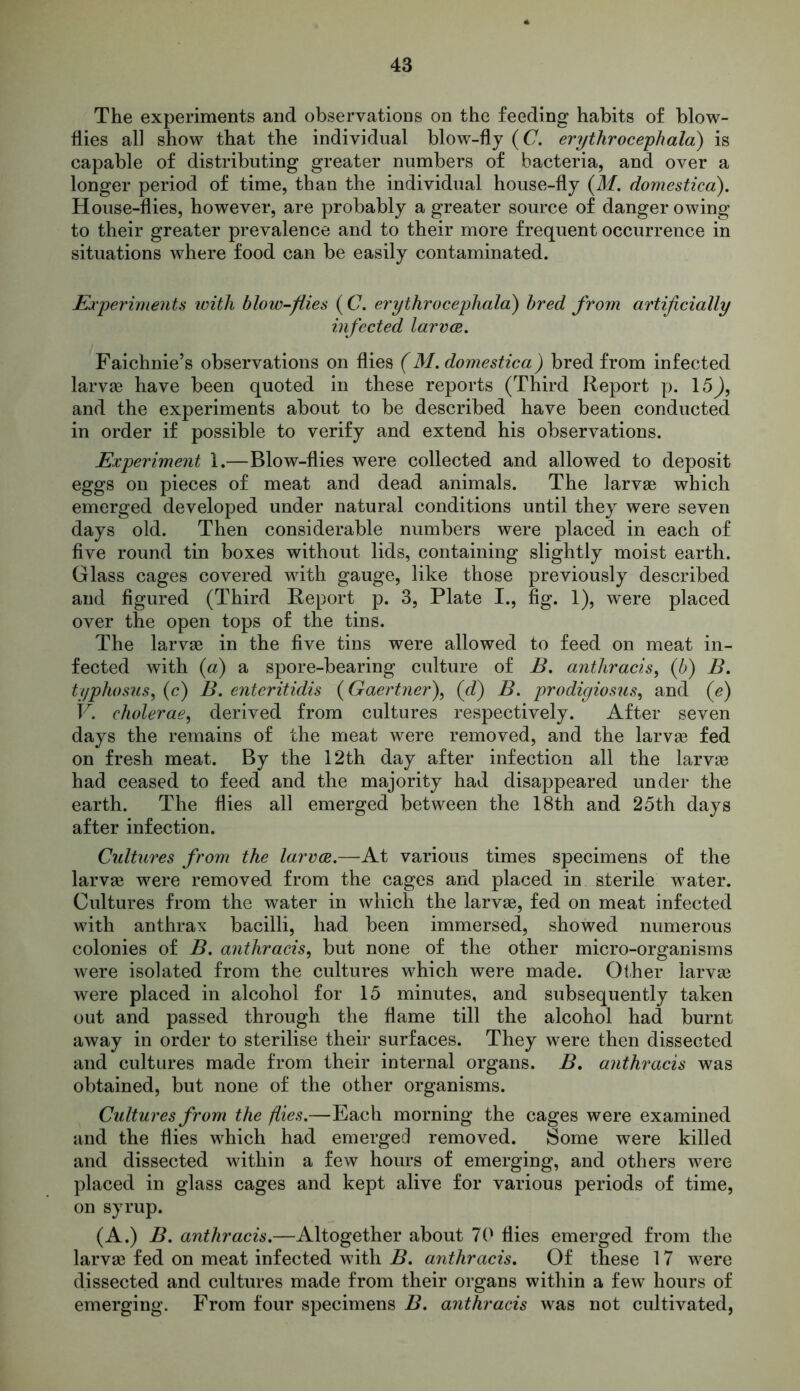 The experiments and observations on the feeding habits of blow- flies all show that the individual blow-fly ((7. erythrocephala) is capable of distributing greater numbers of bacteria, and over a longer period of time, than the individual house-fly (M. domestica). House-flies, however, are probably a greater source of danger owing to their greater prevalence and to their more frequent occurrence in situations where food can be easily contaminated. Experiments with blow-flies ( C. erythrocephala) bred from artificially infected larvae. Faichnie’s observations on flies (M. domestica) bred from infected larvae have been quoted in these reports (Third Report p. 15J, and the experiments about to be described have been conducted in order if possible to verify and extend his observations. Experiment 1.—Blow-flies were collected and allowed to deposit eggs on pieces of meat and dead animals. The larvae which emerged developed under natural conditions until they were seven days old. Then considerable numbers were placed in each of five round tin boxes without lids, containing slightly moist earth. Glass cages covered with gauge, like those previously described and figured (Third Report p. 3, Plate I., fig. 1), were placed over the open tops of the tins. The larvae in the five tins were allowed to feed on meat in- fected with (a) a spore-bearing culture of B. anthracis, (b) B. typhosus, (c) B. enteritidis ( Gaertner), (d) B. prodigiosus, and (e) V. cholerae, derived from cultures respectively. After seven days the remains of the meat were removed, and the larvae fed on fresh meat. By the 12th day after infection all the larvae had ceased to feed and the majority had disappeared under the earth. The flies all emerged between the 18th and 25th days after infection. Cultures from the larvae.—At various times specimens of the larvae were removed from the cages and placed in sterile water. Cultures from the water in which the larvae, fed on meat infected with anthrax bacilli, had been immersed, showed numerous colonies of B. anthracis, but none of the other micro-organisms were isolated from the cultures which were made. Other larvae were placed in alcohol for 15 minutes, and subsequently taken out and passed through the flame till the alcohol had burnt away in order to sterilise their surfaces. They were then dissected and cultures made from their internal organs. B. anthracis was obtained, but none of the other organisms. Cultures from the flies.—Each morning the cages were examined and the flies which had emerged removed. Some were killed and dissected within a few hours of emerging, and others were placed in glass cages and kept alive for various periods of time, on syrup. (A.) B. anthracis.—Altogether about 70 flies emerged from the larvae fed on meat infected with B. anthracis. Of these 17 were dissected and cultures made from their organs within a few hours of emerging. From four specimens B. anthracis was not cultivated,