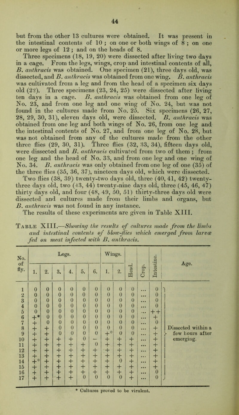 but from the other 13 cultures were obtained. It was present in the intestinal contents of 10 ; on one or both wings of 8 ; on one or more legs of 12 ; and on the heads of 8. Three specimens (18, 19, 20) were dissected after living two days in a cage. From the legs, wings, crop and intestinal contents of all, B. anthracis was obtained. One specimen (21), three days old, was dissected, and B. anthracis was obtained from one wing. B. anthracis was cultivated from a leg and from the head of a specimen six days old (22). Three specimens (23, 24, 25) were dissected after living ten days in a cage. B. anthracis was obtained from one leg of No. 23, and from one leg and one wing of No. 24, but was not found in the cultures made from No. 25. Six specimens (26, 27, 28, 29, 30, 31), eleven days old, were dissected. B. anthracis was obtained from one leg and both wings of No. 26, from one leg and the intestinal contents of No. 27, and from one leg of No. 28, but was not obtained from any of the cultures made from the other three flies (29, 30, 31). Three flies (32, 33, 34), fifteen days old, were dissected and B. anthracis cultivated from two of them ; from one leg and the head of No. 33, and from one leg and one wing of No. 34. B. anthracis was only obtained from one leg of one (35) of the three flies (35, 36, 37), nineteen days old, which were dissected. Two flies (38, 39) twenty-two days old, three (40, 41, 42) twenty- three days old, two (43, 44) twenty-nine days old, three (45, 46, 47) thirty days old, and four (48, 49, 50, 51) thirty-three days old were dissected and cultures made from their limbs and organs, but B. anthracis was not found in any instance. The results of these experiments are given in Table XIII. Table XIII.—Showing the results of cultures made from the limbs and intestinal contents of blowflies which emerged from larvce fed on meat infected icith B. anthracis. No. of fly- Legs. Wings. Head. Crop. Intestine. Age. 1. 2. 3. 4. 5. 6. 1. 2. l 0 0 0 0 0 0 0 0 0 0 1 2 0 0 0 0 0 0 0 0 0 0 3 0 0 0 0 0 0 0 0 0 0 4 0 0 0 0 0 0 0 0 0 0 5 0 0 0 0 0 0 0 0 0 +'+ 6 +* 0 0 0 0 0 0 0 0 + 7 + 0 0 0 0 0 0 0 0 0 8 + + 0 0 0 0 0 0 0 + Dissected within a 9 + + 0 0 0 0 +# 0 0 + }■ few hours after 10 + + + + 0 — + + + + emerging. 11 + + + + + 0 + + + + 1 12 + + + + + + + + + + [ 13 + + + + + + + + + + 1 1 14 +° + + + + + + 0 + + 1 15 + + + + + + + + + + I 16 + + + + + + + + + 0 1 1 17 + + + + 0 0 0 0 + 0 J * Cultures proved to be virulent.