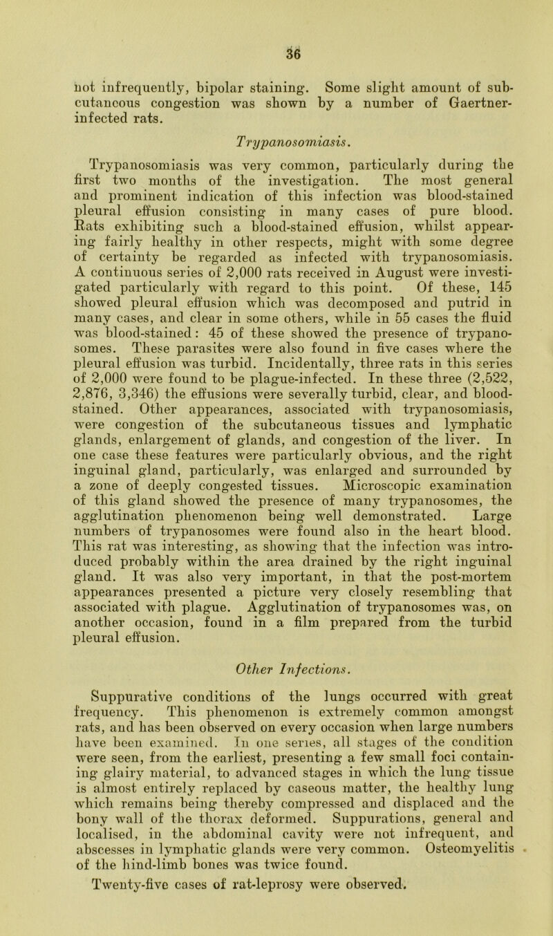 not infrequently, bipolar staining1. Some slight amount of sub- cutaneous congestion was shown by a number of Gaertner- infected rats. T rypanosomiasis. Trypanosomiasis was very common, particularly during the first two months of the investigation. The most general and prominent indication of this infection was blood-stained pleural effusion consisting in many cases of pure blood. Rats exhibiting such a blood-stained effusion, whilst appear- ing fairly healthy in other respects, might with some degree of certainty be regarded as infected with trypanosomiasis. A continuous series of 2,000 rats received in August were investi- gated particularly with regard to this point. Of these, 145 showed pleural effusion which was decomposed and putrid in many cases, and clear in some others, while in 55 cases the fluid was blood-stained: 45 of these showed the presence of trypano- somes. These parasites were also found in five cases where the pleural effusion was turbid. Incidentally, three rats in this series of 2,000 were found to be plague-infected. In these three (2,522, 2,876, 3,346) the effusions were severally turbid, clear, and blood- stained. Other appearances, associated with trypanosomiasis, were congestion of the subcutaneous tissues and lymphatic glands, enlargement of glands, and congestion of the liver. In one case these features were particularly obvious, and the right inguinal gland, particularly, was enlarged and surrounded by a zone of deeply congested tissues. Microscopic examination of this gland showed the presence of many trypanosomes, the agglutination phenomenon being well demonstrated. Large numbers of trypanosomes were found also in the heart blood. This rat was interesting, as showing that the infection was intro- duced probably within the area drained by the right inguinal gland. It was also very important, in that the post-mortem appearances presented a picture very closely resembling that associated with plague. Agglutination of trypanosomes was, on another occasion, found in a film prepared from the turbid pleural effusion. Other Infections. Suppurative conditions of the lungs occurred with great frequency. This phenomenon is extremely common amongst rats, and has been observed on every occasion when large numbers have been examined. In one series, all stages of the condition were seen, from the earliest, presenting a few small foci contain- ing glairy material, to advanced stages in which the lung tissue is almost entirely replaced by caseous matter, the healthy lung which remains being thereby compressed and displaced and the bony wall of the thorax deformed. Suppurations, general and localised, in the abdominal cavity were not infrequent, and abscesses in lymphatic glands were very common. Osteomyelitis of the hind-limb bones was twice found. Twenty-five cases of rat-leprosy were observed.