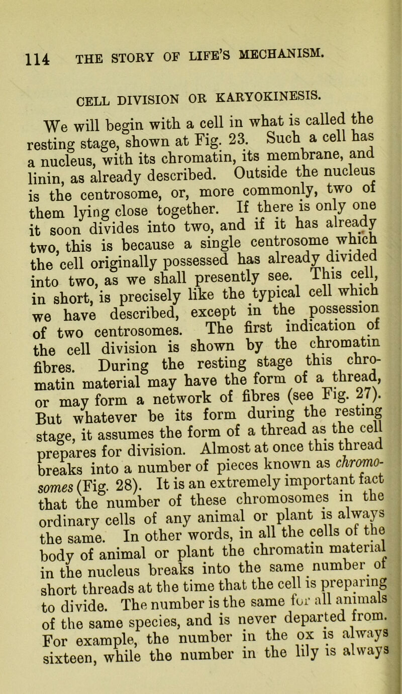 CELL DIVISION OR KARYOKINESIS. We will begin with a cell in what is called the resting stage, shown at Fig. 23. Such a cell has a nucleus, with its chromatin, its membrane, and linin, as already described. Outside the nucleus is the centrosome, or, more commonly, two ot them lying close together. If there is only one it soon divides into two, and if it has already two, this is because a single centrosome which the cell originally possessed has already divided into two, as we shall presently see. This cell, in short, is precisely like the typical cell which we have described, except in the possession of two centrosomes. The first indication of the cell division is shown by the chromatin fibres. During the resting stage this matin material may have the form of a thread, or may form a network of fibres (see rig. 27]. But whatever be its form during the resting stage, it assumes the form of a thread as the cel prepares for division. Almost at once this thread breaks into a number of pieces known as chromo- somes (Fig. 28). It is an extremely important fact that the number of these chromosomes in the ordinary cells of any animal or plant is always the same. In other words, in all the cells of the body of animal or plant the chromatin material in the nucleus breaks into the same number ot short threads at the time that the cell is prepaiing to divide. The number is the same for all animals of the same species, and is never departed from. For example, the number in the ox is always sixteen, while the number in the lily is always