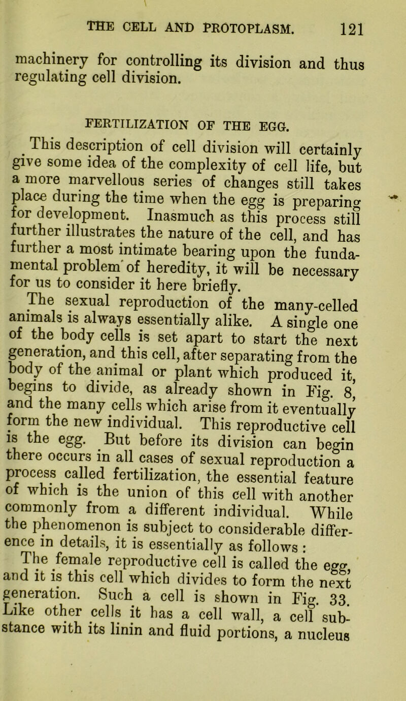 machinery for controlling its division and thus regulating cell division. fertilization of the egg. ^ This description of cell division will certainly give some idea of the complexity of cell life, but a more marvellous series of changes still takes place during the time when the 6gg is preparing for development. Inasmuch as this process still further illustrates the nature of the cell, and has further a most intimate bearing upon the funda- mental problem'of heredity, it will be necessary for us to consider it here briefly. The sexual reproduction of the many-celled animals is always essentially alike. A single one of the body cells is set apart to start the next generation, and this cell, after separating from the body of the animal or plant which produced it, begins to divide, as already shown in Tig. 8, and the many cells which arise from it eventually form the new individual. This reproductive cell IS the egg. ^ But before its division can begin there occurs in all cases of sexual reproduction a process called fertilization, the essential feature of which is the union of this cell with another commonly from a different individual. While the phenomenon is subject to considerable differ- ence in details, it is essentially as follows : The female reproductive cell is called the ess and it is this cell which divides to form the next generation. Such a cell is shown in Fig 33 Like other cells it has a cell wall, a cell’sub- stance with its linin and fluid portions, a nucleus