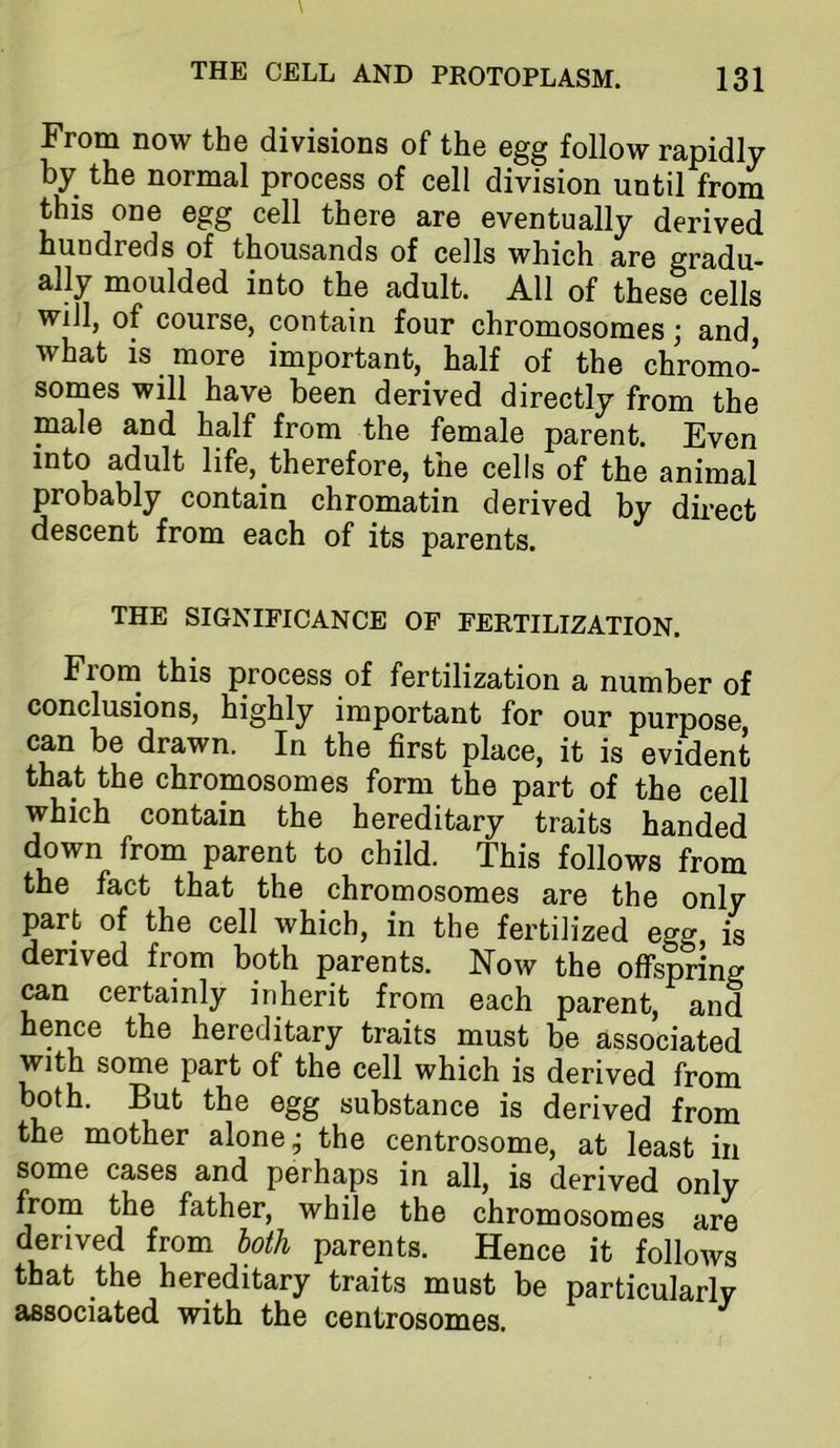 From now the divisions of the egg follow rapidly by the normal process of cell division until from this one egg cell there are eventually derived hundreds of thousands of cells which are gradu- ally moulded into the adult. All of these cells will, of course, contain four chromosomes ^ and what is more important, half of the chromo- somes will have been derived directly from the male and half from the female parent. Even into adult life, therefore, the cells of the animal probably contain chromatin derived by direct descent from each of its parents. THE SIGNIFICANCE OF FERTILIZATION. Frona this process of fertilization a number of conclusions, highly important for our purpose can be drawn. In the first place, it is evident that the chromosomes form the part of the cell which contain the hereditary traits handed down from parent to child. This follows from the fact that the chromosomes are the only part of the cell which, in the fertilized egg, is derived from both parents. Now the offspring can certainly inherit from each parent, and hence the hereditary traits must be associated with some part of the cell which is derived from both. But the egg substance is derived from the mother alone ^ the centrosome, at least in some cases and perhaps in all, is derived only from the father, while the chromosomes are derived from hath parents. Hence it follows that the hereditary traits must be particularly associated with the centrosomes.