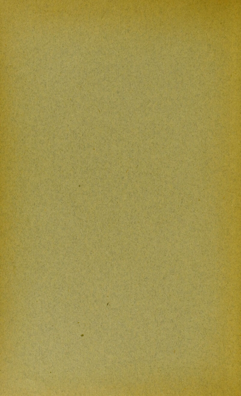 / > 'mk » • * f- V’ '. •“< C-ftfr»#* *<