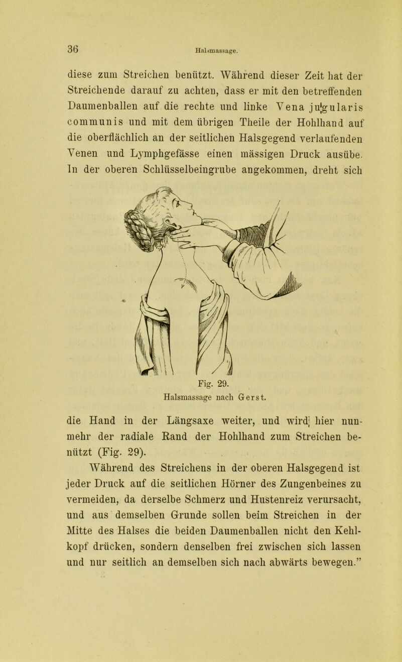 diese zum Streichen benützt. Während dieser Zeit hat der Streichende darauf zu achten, dass er mit den betreffenden Daumenballen auf die rechte und linke Vena jujgularis communis und mit dem übrigen Theile der Hohlhand auf die oberflächlich an der seitlichen Halsgegend verlaufenden Venen und Lymphgefässe einen mässigen Druck ausübe. ln der oberen Schlüsselbeingrube angekommen, dreht sich Fig. 29. Halsmassage nach Ger st. die Hand in der Längsaxe weiter, und wird; hier nun- mehr der radiale Rand der Hohlhand zum Streichen be- nützt (Fig. 29). Während des Streichens in der oberen Halsgegend ist jeder Druck auf die seitlichen Hörner des Zungenbeines zu vermeiden, da derselbe Schmerz und Hustenreiz verursacht, und aus demselben Grunde sollen beim Streichen in der Mitte des Halses die beiden Daumenballen nicht den Kehl- kopf drücken, sondern denselben frei zwischen sich lassen und nur seitlich an demselben sich nach abwärts bewegen.”