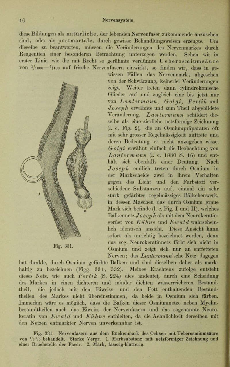 diese Bildungen als natürliche, der lebenden Nervenfaser zukommende anzusehen sind, oder als postmortale, durch gewisse Behandlungsweisen erzeugte. Um dieselbe zu beantworten, müssen die Veränderungen des Nervenmarkes durch Reagentien einer besonderen Betrachtung unterzogen werden. Sehen wir in erster Linie, wie die mit Recht so gerühmte verdünnte Ueberosmiumsäure von V1000—V100 auf frische Nervenfasern einwirkt, so finden wir, dass in ge- wissen Fällen das Nervenmark, abgesehen von der Schwärzung, keinerlei Veränderungen zeigt. Weiter treten dann cylindrokonische Glieder auf und zugleich eine bis jetzt nur von Lantermann, Golgi, Pertik und Joseph erwähnte und zum Theil abgebildete Veränderung. Lantermann schildert die- selbe als eine zierliche netzförmige Zeichnung (1. c. Fig. 2), die an Osmiumpräparaten oft mit sehr grosser Regelmässigkeit auftrete und deren Bedeutung er nicht anzugeben wisse. Golgi erwähnt einfach die Beobachtung von Lantermann (1. c. 1880 S. 16) und ent- hält sich ebenfalls einer Deutung. Nach Joseph endlich treten durch Osmium in der Markscheide zwei in ihrem Verhalten gegen das Licht und den Farbstoff ver- schiedene Substanzen auf, einmal ein sehr stark gefärbtes regelmässiges Bälkchenwerk, in dessen Maschen das durch Osmium graue Mark sich befinde (1. c. Fig. I und II), welches Balkennetz Joseph als mit dem Neurokeratin- gerüst von Kühne und Eivald wahrschein- lich identisch ansieht. Diese Ansicht kann sofort als unrichtig bezeichnet werden, denn das sog. Neurokeratinnetz färbt sich nicht in Osmium und zeigt sich nur an entfetteten Nerven; das Lantermann’sehe Netz dagegen hat dunkle, durch Osmium gefärbte Balken und sind dieselben daher als mark- haltig zu bezeichnen (Figg. 331, 332). Meines Erachtens zufolge entsteht dieses Netz, wie auch Pertik (S. 224) dies andeutet, durch eine Scheidung des Markes in einen dichteren und minder dichten wasserreicheren Bestand- theil, die jedoch mit den Eiweiss- und den Fett enthaltenden Bestand- teilen des Markes nicht überein stimmen, da beide in Osmium sich färben. Immerhin wäre es möglich, dass die Balken dieser Osmiumnetze neben Myelin- bestandtheilen auch das Eiweiss der Nervenfasern und das sogenannte Neuro- keratin von Eivald und Kühne enthielten, da die Aehnlichkeit derselben mit den Netzen entmarkter Nerven unverkennbar ist. Fig. 331. Nervenfasern aus dem Rückenmark des Ochsen mit Ueberosmium säure von 1/2°/o behandelt. Starke Vergr. 1. Marksubstanz mit netzförmiger Zeichnung und einer Bruchstelle der Faser. 2. Mark, faserig-blätterig.