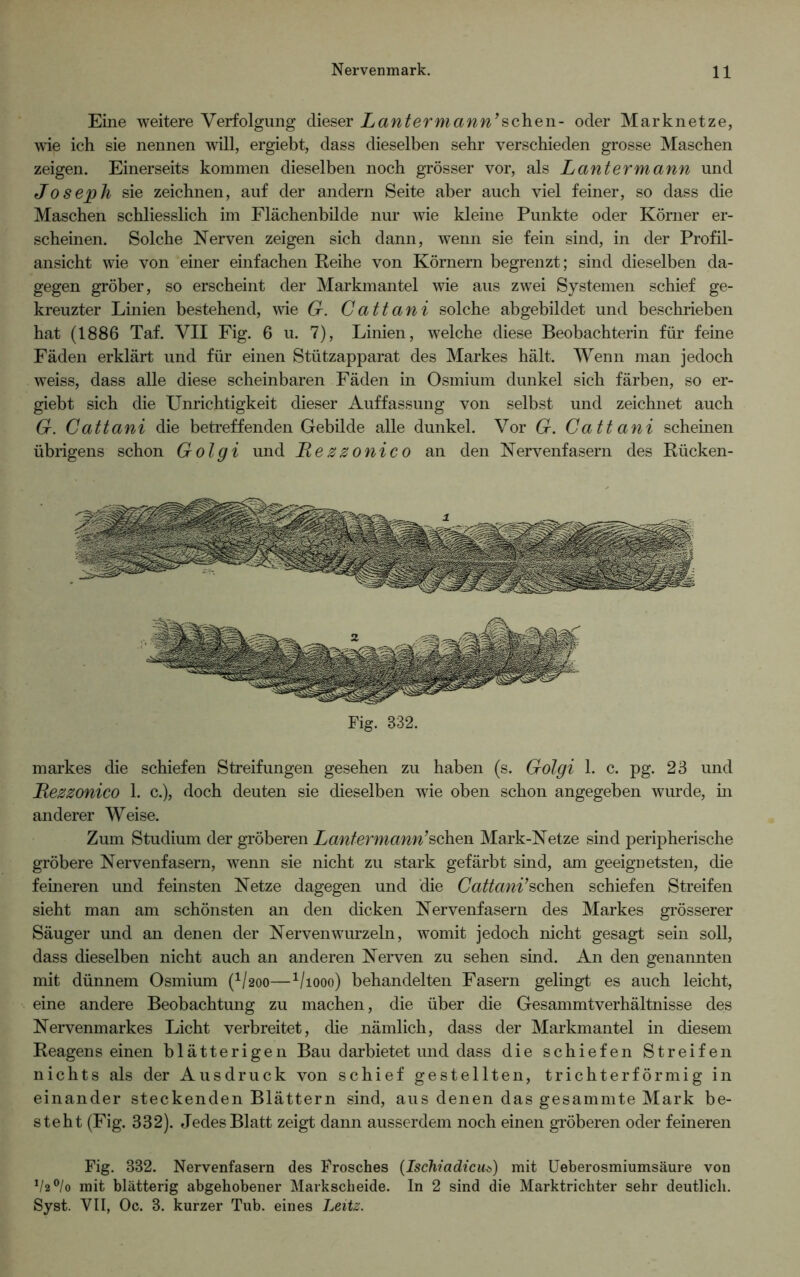 Eine weitere Verfolgung dieser Lantermann’sehen- oder Marknetze, wie ich sie nennen will, ergiebt, dass dieselben sehr verschieden grosse Maschen zeigen. Einerseits kommen dieselben noch grösser vor, als Lantermann und Joseph sie zeichnen, auf der andern Seite aber auch viel feiner, so dass die Maschen schliesslich im Flächenbilde nur wie kleine Punkte oder Körner er- scheinen. Solche Nerven zeigen sich dann, wenn sie fein sind, in der Profil- ansicht wie von einer einfachen Reihe von Körnern begrenzt; sind dieselben da- gegen gröber, so erscheint der Markmantel wie aus zwei Systemen schief ge- kreuzter Linien bestehend, wie G. Cattani solche abgebildet und beschrieben hat (1886 Taf. VII Fig. 6 u. 7), Linien, welche diese Beobachterin für feine Fäden erklärt und für einen Stützapparat des Markes hält. Wenn man jedoch weiss, dass alle diese scheinbaren Fäden in Osmium dunkel sich färben, so er- giebt sich die Unrichtigkeit dieser Auffassung von selbst und zeichnet auch G. Cattani die betreffenden Gebilde alle dunkel. Vor G. Cattani scheinen übrigens schon Golgi und Lezzonico an den Nervenfasern des Rücken- Fig. 832. markes die schiefen Streifungen gesehen zu haben (s. Golgi 1. c. pg. 23 und Lezzonico 1. c.), doch deuten sie dieselben wie oben schon angegeben wurde, in anderer Weise. Zum Studium der gröberen Lantermann’sehen Mark-Netze sind peripherische gröbere Nervenfasern, wenn sie nicht zu stark gefärbt sind, am geeignetsten, die feineren und feinsten Netze dagegen und die Cattani’sehen schiefen Streifen sieht man am schönsten an den dicken Nervenfasern des Markes grösserer Säuger und an denen der Nerven wurzeln, womit jedoch nicht gesagt sein soll, dass dieselben nicht auch an anderen Nerven zu sehen sind. An den genannten mit dünnem Osmium (V200—Viooo) behandelten Fasern gelingt es auch leicht, eine andere Beobachtung zu machen, die über die Gesammtverhältnisse des Nervenmarkes Licht verbreitet, die nämlich, dass der Markmantel in diesem Reagens einen blätterigen Bau darbietet und dass die schiefen Streifen nichts als der Ausdruck von schief gestellten, trichterförmig in einander steckenden Blättern sind, aus denen das gesammte Mark be- steht (Fig. 332). Jedes Blatt zeigt dann ausserdem noch einen gröberen oder feineren Fig. 832. Nervenfasern des Frosches (Ischiadicub) mit Ueberosmiumsäure von 1/2°/o mit blätterig abgehobener Markscheide. In 2 sind die Marktrichter sehr deutlich. Syst. VII, Oc. 3. kurzer Tub. eines Leitz.