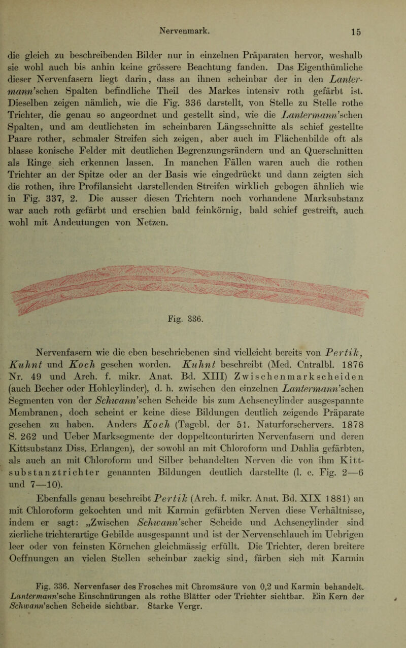 die gleich zu beschreibenden Bilder nur in einzelnen Präparaten hervor, weshalb sie wohl auch bis anhin keine grössere Beachtung fanden. Das Eigenthümliche dieser Nervenfasern liegt darin, dass an ihnen scheinbar der in den Lanter- mann’sehen Spalten befindliche Theil des Markes intensiv roth gefärbt ist. Dieselben zeigen nämlich, wie die Fig. 336 darstellt, von Stelle zu Stelle rothe Trichter, die genau so angeordnet und gestellt sind, wie die Lantermann’sehen Spalten, und am deutlichsten im scheinbaren Längsschnitte als schief gestellte Paare rother, schmaler Streifen sich zeigen, aber auch im Flächenbilde oft als blasse konische Felder mit deutlichen Begrenzungsrändern und an Querschnitten als Ringe sich erkennen lassen. In manchen Fällen waren auch die rothen Trichter an der Spitze oder an der Basis wie eingedrückt und dann zeigten sich die rothen, ihre Profilansicht darstellenden Streifen wirklich gebogen ähnlich wie in Fig. 337, 2. Die ausser diesen Trichtern noch vorhandene Marksubstanz war auch roth gefärbt und erschien bald feinkörnig, bald schief gestreift, auch wohl mit Andeutungen von Netzen. Fig. 336. Nervenfasern wie die eben beschriebenen sind vielleicht bereits von Pertih, Kuh nt und Koch gesehen worden. Kuhnt beschreibt (Med. Cntralbl. 1876 Nr. 49 und Arch. f. mikr. Anat. Bd. XIII) Zwischenmarkscheiden (auch Becher oder Hohlcylinder), d. h. zwischen den einzelnen Lantermann’sehen Segmenten von der Schwann’sehen Scheide bis zum Achsencylinder ausgespannte Membranen, doch scheint er keine diese Bildungen deutlich zeigende Präparate gesehen zu haben. Anders Koch (Tagebl. der 51. Naturforschervers. 1878 S. 262 und Ueber Marksegmente der doppeltconturirten Nervenfasern und deren Kittsubstanz Diss. Erlangen), der sowohl an mit Chloroform und Dahlia gefärbten, als auch an mit Chloroform und Silber behandelten Nerven die von ihm Kitt- substanztrichter genannten Bildungen deutlich darstellte (1. c. Fig. 2—6 und 7—10). Ebenfalls genau beschreibt Per tih (Arch. f. mikr. Anat. Bd. XIX 1881) an mit Chloroform gekochten und mit Karmin gefärbten Nerven diese Verhältnisse, indem er sagt: „Zwischen Schwann’scher Scheide und Achsencylinder sind zierliche trichterartige Gebilde ausgespannt und ist der Nervenschlauch im Uebrigen leer oder von feinsten Körnchen gleichmässig erfüllt. Die Trichter, deren breitere Oeffnungen an vielen Stellen scheinbar zackig sind, färben sich mit Karmin Fig. 336. Nervenfaser des Frosches mit Chromsäure von 0,2 und Karmin behandelt. Lantermann'sehe Einschnürungen als rothe Blätter oder Trichter sichtbar. Ein Kern der Schwann'sehen Scheide sichtbar. Starke Vergr.