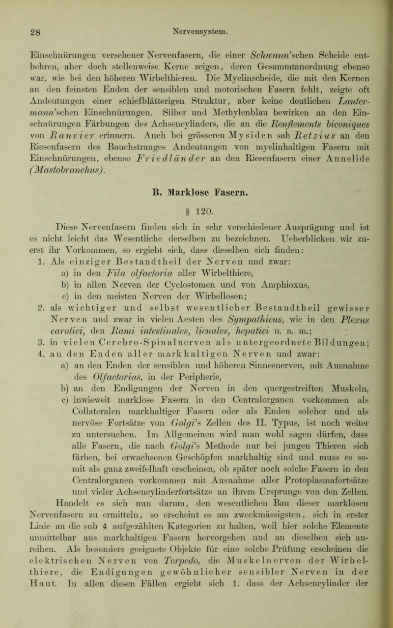 Einschnürungen versehener Nervenfasern, die einer Schwann’sehen Scheide ent- behren, aber doch stellenweise Kerne zeigen, deren Gesammtanordnung ebenso war, wie bei den höheren Wirbelthieren. Die Myelinscheide, die mit den Kernen an den feinsten Enden der sensiblen und motorischen Fasern fehlt, zeigte oft Andeutungen einer schiefblätterigen Struktur, aber keine deutlichen Lanter- mann’sehen Einschnürungen. Silber und Methylenblau bewirken an den Ein- schnürungen Färbungen des Achsencylinders, die an die Henflements biconiques von jRanvier erinnern. Auch bei grösseren Mysi den sah Hetz ins an den Kiesenfasern des Bauchstranges Andeutungen von myelinhaltigen Fasern mit Einschnürungen, ebenso Friedländer an den Riesenfasern einer Annelide (Mastobranchus). B. Marklose Fasern. § 120. Diese Nervenfasern finden sich in sehr verschiedener Ausprägung und ist es nicht leicht das Wesentliche derselben zu bezeichnen. Ueberblicken wir zu- erst ihr Vorkommen, so ergiebt sich, dass dieselben sich finden: 1. Als einziger Bestandtheil der Nerven und zwar: a) in den Fila olfadoria aller Wirbelthiere, b) in allen Nerven der Cyclostomen und von Amphioxus, c) in den meisten Nerven der Wirbellosen; 2. als wichtiger und selbst wesentlicher Bestandtheil gewisser Nerven und zwar in vielen Aesten des Sympathicus, wie in den Plexus carotici, den Bami inteslinales, lienales, hepatici u. a. m.; 3. in vielen Cerebro-Spinalnerven als untergeordnete Bildungen; 4. an den Enden aller markhaltigen Nerven und zwar: a) an den Enden der sensiblen und höheren Sinnesnerven, mit Ausnahme des Olfactorius, in der Peripherie, b) an den Endigungen der Nerven in den quergestreiften Muskeln, c) inwieweit marklose Fasern in den Centralorganen Vorkommen als Collateralen markhaltiger Fasern oder als Enden solcher und als nervöse Fortsätze von Golgi’s Zellen des II. Typus, ist noch weiter zu untersuchen. Im Allgemeinen wird man wohl sagen dürfen, dass alle Fasern, die nach Golgi’s Methode nur bei jungen Thieren sich färben, bei erwachsenen Geschöpfen markhaltig sind und muss es so- mit als ganz zweifelhaft erscheinen, ob später noch solche Fasern in den Centralorganen Vorkommen mit Ausnahme aller Protoplasmafortsätze und vieler Achsencylinderfortsätze an ihrem Ursprünge von den Zellen. Handelt es sich nun darum, den wesentlichen Bau dieser marklosen Nervenfasern zu ermitteln, so erscheint es am zweckmässigsten, sich in erster Linie an die sub 4 aufgezählten Kategorien zu halten, weil hier solche Elemente unmittelbar aus markhaltigen Fasern hervorgehen und an dieselben sich an- reihen. Als besonders geeignete Objekte für eine solche Prüfung erscheinen die elektrischen Nerven von Torpedo, die Muskelnerven der Wirbel- thiere, die Endigungen gewöhnlicher sensibler Nerven in der Haut. In allen diesen Fällen ergiebt sich 1. dass der Achsencylinder der