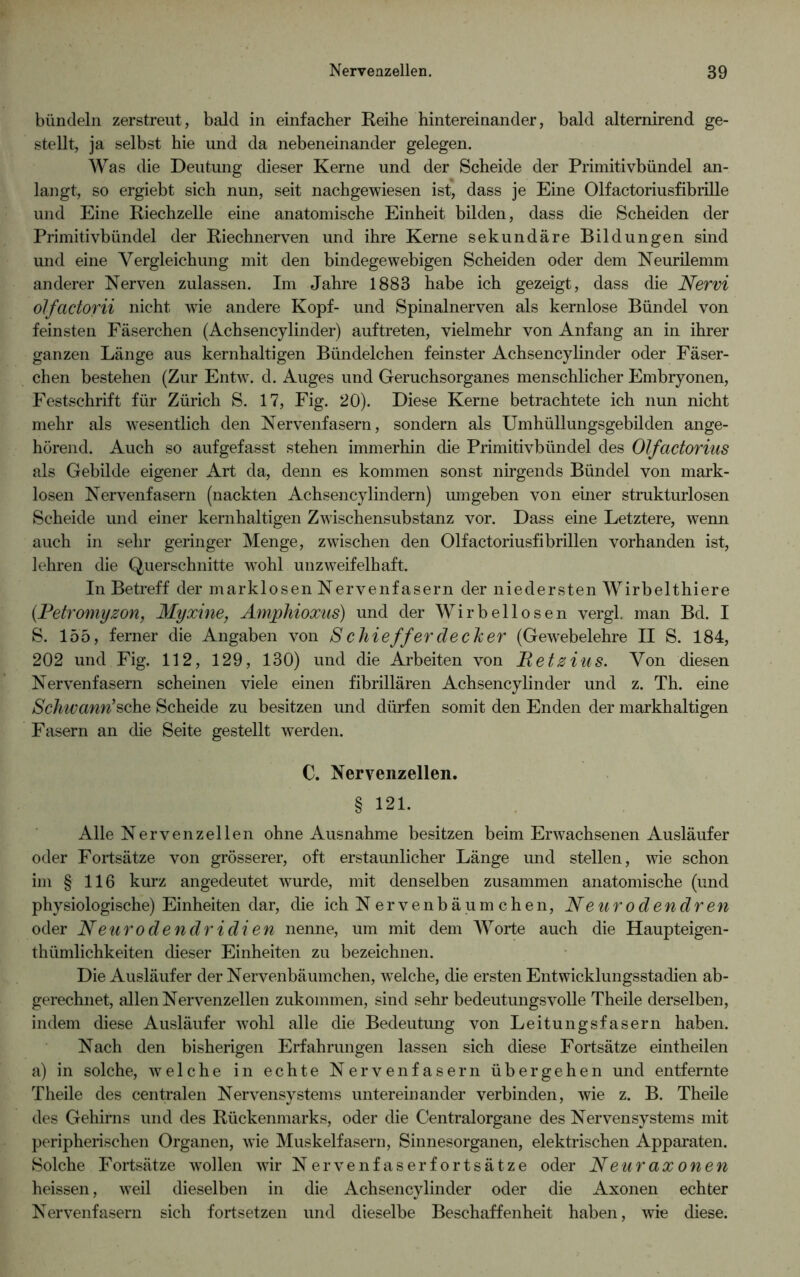 bündeln zerstreut, bald in einfacher Reihe hintereinander, bald alternirend ge- stellt, ja selbst hie und da nebeneinander gelegen. Was die Deutung dieser Kerne und der Scheide der Primitivbündel an- langt, so ergiebt sich nun, seit nachgewiesen ist, dass je Eine Olfactoriusfibrille und Eine Riechzelle eine anatomische Einheit bilden, dass die Scheiden der Primitivbündel der Riechnerven und ihre Kerne sekundäre Bildungen sind und eine Vergleichung mit den bindegewebigen Scheiden oder dem Neurilemm anderer Nerven zulassen. Im Jahre 1883 habe ich gezeigt, dass die Nervi olfactorii nicht wie andere Kopf- und Spinalnerven als kernlose Bündel von feinsten Fäserchen (Achsencylinder) auftreten, vielmehr von Anfang an in ihrer ganzen Länge aus kernhaltigen Bündelchen feinster Achsency linder oder Fäser- chen bestehen (Zur Entw. d. Auges und Geruchsorganes menschlicher Embryonen, Festschrift für Zürich S. 17, Fig. 20). Diese Kerne betrachtete ich nun nicht mehr als wesentlich den Nervenfasern, sondern als Umhüllungsgebilden ange- hörend. Auch so aufgefasst stehen immerhin die Primitivbündel des Olfactorius als Gebilde eigener Art da, denn es kommen sonst nirgends Bündel von mark- losen Nervenfasern (nackten Achsencylindern) umgeben von einer strukturlosen Scheide und einer kernhaltigen Zwischensubstanz vor. Dass eine Letztere, wenn auch in sehr geringer Menge, zwischen den Olfactoriusfibrillen vorhanden ist, lehren die Querschnitte wohl unzweifelhaft. In Betreff der marklosen Nervenfasern der niedersten Wirbelthiere (.Fetromyzon, Myxine, Amphioxus) und der Wirbellosen vergl. man Bd. I S. 155, ferner die Angaben von S c hieffer de eher (Gewebelehre II S. 184, 202 und Fig. 112, 129, 130) und die Arbeiten von Retsius. Von diesen Nervenfasern scheinen viele einen fibrillären Achsencylinder und z. Th. eine Schwanrische Scheide zu besitzen und dürfen somit den Enden der markhaltigen Fasern an die Seite gestellt werden. C. Nervenzellen. § 121. Alle Nervenzellen ohne Ausnahme besitzen beim Erwachsenen Ausläufer oder Fortsätze von grösserer, oft erstaunlicher Länge und stellen, wie schon im § 116 kurz angedeutet wurde, mit denselben zusammen anatomische (und physiologische) Einheiten dar, die ich Nervenbäumchen, Neurodendren oder Neurodendridien nenne, um mit dem Worte auch die Haupteigen- thümlichkeiten dieser Einheiten zu bezeichnen. Die Ausläufer der Nervenbäumchen, welche, die ersten Entwicklungsstadien ab- gerechnet, allen Nervenzellen zukommen, sind sehr bedeutungsvolle Theile derselben, indem diese Ausläufer wohl alle die Bedeutung von Leitungsfasern haben. Nach den bisherigen Erfahrungen lassen sich diese Fortsätze eintheilen a) in solche, welche in echte Nervenfasern übergehen und entfernte Theile des centralen Nervensystems untereinander verbinden, wie z. B. Theile des Gehirns und des Rückenmarks, oder die Centralorgane des Nervensystems mit peripherischen Organen, wie Muskelfasern, Sinnesorganen, elektrischen Apparaten. Solche Fortsätze wTollen wir N ervenf as er f orts ätze oder Neurax onen heissen, weil dieselben in die Achsencylinder oder die Axonen echter Nervenfasern sich fortsetzen und dieselbe Beschaffenheit haben, wie diese.