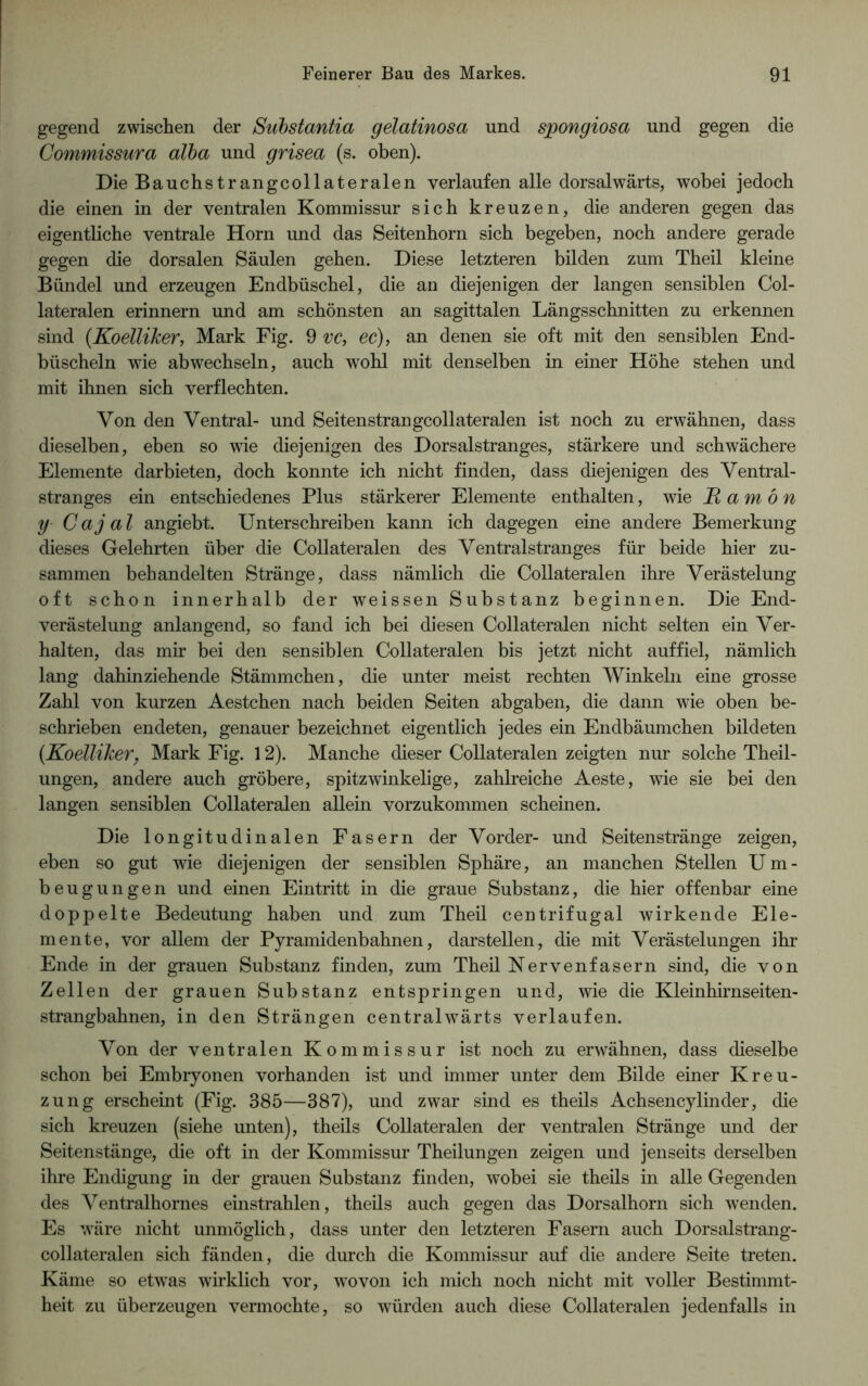 gegend zwischen der Substantia gelatinosa und spongiosa und gegen die Commissura alba und grisea (s. oben). Die Bauchstrangcollateralen verlaufen alle dorsalwärts, wobei jedoch die einen in der ventralen Kommissur sich kreuzen, die anderen gegen das eigentliche ventrale Horn und das Seitenhorn sich begeben, noch andere gerade gegen die dorsalen Säulen gehen. Diese letzteren bilden zum Theil kleine Bündel und erzeugen Endbüschel, die an diejenigen der langen sensiblen Col- lateralen erinnern und am schönsten an sagittalen Längsschnitten zu erkennen sind (.Koelliker, Mark Fig. 9 vc, ec), an denen sie oft mit den sensiblen End- büscheln wie ab wechseln, auch wohl mit denselben in einer Höhe stehen und mit ihnen sich verflechten. Von den Ventral- und Seitenstrangcollateralen ist noch zu erwähnen, dass dieselben, eben so wie diejenigen des Dorsalstranges, stärkere und schwächere Elemente darbieten, doch konnte ich nicht finden, dass diejenigen des Ventral- stranges ein entschiedenes Plus stärkerer Elemente enthalten, wie H am ön y Caj al angiebt. Unterschreiben kann ich dagegen eine andere Bemerkung dieses Gelehrten über die Collateralen des Ventralstranges für beide hier zu- sammen behandelten Stränge, dass nämlich die Collateralen ihre Verästelung oft schon innerhalb der weissen Substanz beginnen. Die End- verästelung anlangend, so fand ich bei diesen Collateralen nicht selten ein Ver- halten, das mir bei den sensiblen Collateralen bis jetzt nicht auf fiel, nämlich lang dahinziehende Stämmchen, die unter meist rechten Winkeln eine grosse Zahl von kurzen Aestchen nach beiden Seiten abgaben, die dann wie oben be- schrieben endeten, genauer bezeichnet eigentlich jedes ein Endbäumchen bildeten (Koelliker, Mark Fig. 12). Manche dieser Collateralen zeigten nur solche Theil- ungen, andere auch gröbere, spitzwinkelige, zahlreiche Aeste, wie sie bei den langen sensiblen Collateralen allein vorzukommen scheinen. Die longitudinalen Fasern der Vorder- und Seitenstränge zeigen, eben so gut wie diejenigen der sensiblen Sphäre, an manchen Stellen Um- beugungen und einen Eintritt in die graue Substanz, die hier offenbar eine doppelte Bedeutung haben und zum Theil centrifugal wirkende Ele- mente, vor allem der Pyramidenbahnen, darstellen, die mit Verästelungen ihr Ende in der grauen Substanz finden, zum Theil Nervenfasern sind, die von Zellen der grauen Substanz entspringen und, wie die Kleinhirnseiten- strangbahnen, in den Strängen centralwärts verlaufen. Von der ventralen Kommissur ist noch zu erwähnen, dass dieselbe schon bei Embryonen vorhanden ist und immer unter dem Bilde einer Kreu- zung erscheint (Fig. 385—387), und zwar sind es theils Achsencylinder, die sich kreuzen (siehe unten), theils Collateralen der ventralen Stränge und der Seitenstänge, die oft in der Kommissur Theilungen zeigen und jenseits derselben ihre Endigung in der grauen Substanz finden, wobei sie theils in alle Gegenden des Ventralhornes einstrahlen, theils auch gegen das Dorsalhorn sich wenden. Es wäre nicht unmöglich, dass unter den letzteren Fasern auch Dorsalstrang- collateralen sich fänden, die durch die Kommissur auf die andere Seite treten. Käme so etwas wirklich vor, wovon ich mich noch nicht mit voller Bestimmt- heit zu überzeugen vermochte, so würden auch diese Collateralen jedenfalls in