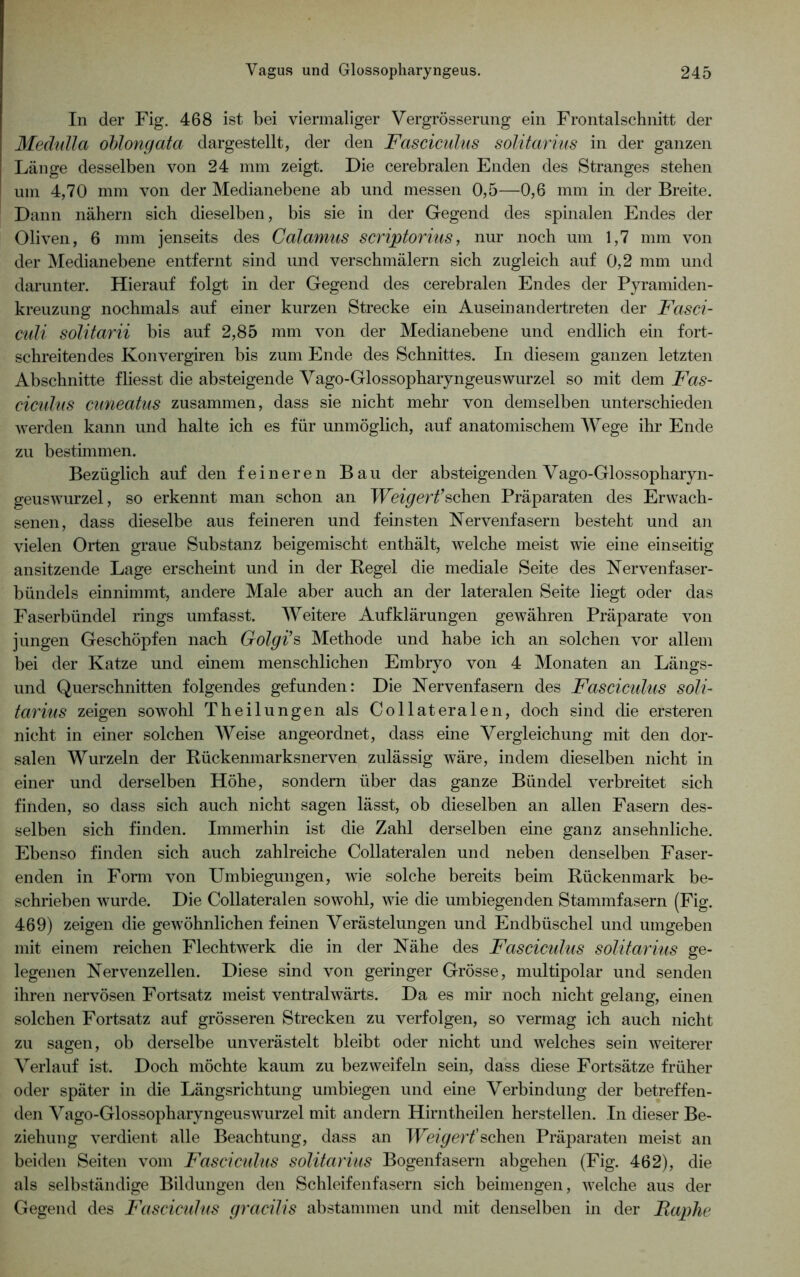 In der Fig. 468 ist bei viermaliger Vergrösserung ein Frontalschnitt der Medulla oblong ata dargestellt, der den Fasciculus solitär ins in der ganzen Länge desselben von 24 mm zeigt. Die cerebralen Enden des Stranges stehen um 4,70 mm von der Medianebene ab und messen 0,5—0,6 mm in der Breite. Dann nähern sich dieselben, bis sie in der Gegend des spinalen Endes der Oliven, 6 mm jenseits des Calamus scriptorius, nur noch um 1,7 mm von der Medianebene entfernt sind und verschmälern sich zugleich auf 0,2 mm und darunter. Hierauf folgt in der Gegend des cerebralen Endes der Pyramiden- kreuzung nochmals auf einer kurzen Strecke ein Auseinandertreten der Fasci- culi solitarii bis auf 2,85 mm von der Medianebene und endlich ein fort- schreitendes Konvergiren bis zum Ende des Schnittes. In diesem ganzen letzten Abschnitte fliesst die absteigende Yago-GlossopharyngeusWurzel so mit dem Fas- ciculus cuneatus zusammen, dass sie nicht mehr von demselben unterschieden werden kann und halte ich es für unmöglich, auf anatomischem Wege ihr Ende zu bestimmen. Bezüglich auf den feineren Bau der absteigenden Vago-Glossopharyn- geuswurzel, so erkennt man schon an Weigert?sehen Präparaten des Erwach- senen, dass dieselbe aus feineren und feinsten Nervenfasern besteht und an vielen Orten graue Substanz beigemischt enthält, welche meist wie eine einseitig ansitzende Lage erscheint und in der Regel die mediale Seite des Nervenfaser- bündels einnimmt, andere Male aber auch an der lateralen Seite liegt oder das Faserbündel rings umfasst. Weitere Aufklärungen gewähren Präparate von jungen Geschöpfen nach Grolgi’s Methode und habe ich an solchen vor allem bei der Katze und einem menschlichen Embryo von 4 Monaten an Längs- und Querschnitten folgendes gefunden: Die Nervenfasern des Fasciculus soli- tarius zeigen sowohl Theilungen als Collateralen, doch sind die ersteren nicht in einer solchen Weise angeordnet, dass eine Vergleichung mit den dor- salen Wurzeln der Rückenmarksnerven zulässig wäre, indem dieselben nicht in einer und derselben Höhe, sondern über das ganze Bündel verbreitet sich finden, so dass sich auch nicht sagen lässt, ob dieselben an allen Fasern des- selben sich finden. Immerhin ist die Zahl derselben eine ganz ansehnliche. Ebenso finden sich auch zahlreiche Collateralen und neben denselben Faser- enden in Form von Umbiegungen, wie solche bereits beim Rückenmark be- schrieben wurde. Die Collateralen sowohl, wie die umbiegenden Stammfasern (Fig. 469) zeigen die gewöhnlichen feinen Verästelungen und Endbüschel und umgeben mit einem reichen Flechtwerk die in der Nähe des Fasciculus solitarius ge- legenen Nervenzellen. Diese sind von geringer Grösse, multipolar und senden ihren nervösen Fortsatz meist ventralwärts. Da es mir noch nicht gelang, einen solchen Fortsatz auf grösseren Strecken zu verfolgen, so vermag ich auch nicht zu sagen, ob derselbe unverästelt bleibt oder nicht und welches sein weiterer Verlauf ist. Doch möchte kaum zu bezweifeln sein, dass diese Fortsätze früher oder später in die Längsrichtung umbiegen und eine Verbindung der betreffen- den Vago-Glossopharyngeuswurzel mit andern Hirntheilen herstellen. In dieser Be- ziehung verdient alle Beachtung, dass an Weigert’sehen Präparaten meist an beiden Seiten vom Fasciculus solitarius Bogenfasern abgehen (Fig. 462), die als selbständige Bildungen den Schleifenfasern sich beimengen, welche aus der Gegend des Fasciculus gracilis abstammen und mit denselben in der Raphe