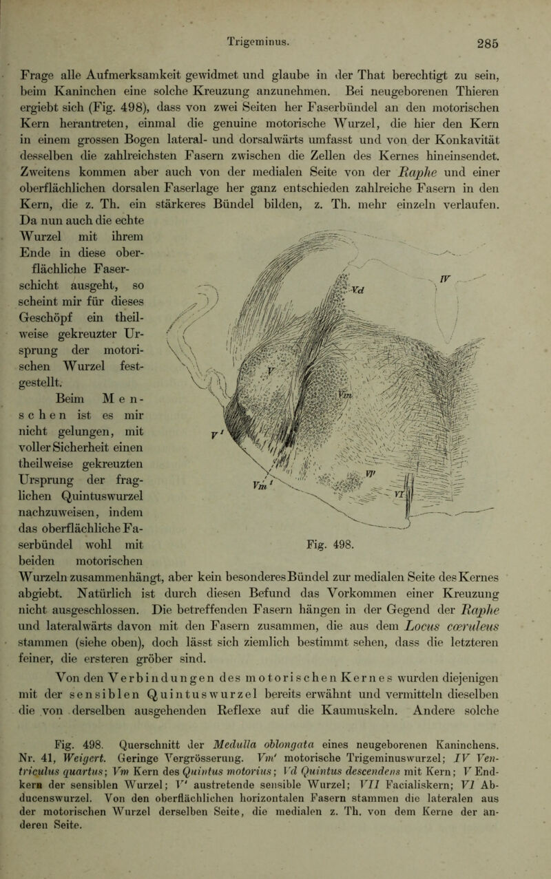 Frage alle Aufmerksamkeit gewidmet und glaube in der That berechtigt zu sein, beim Kaninchen eine solche Kreuzung anzunehmen. Bei neugeborenen Thieren ergiebt sich (Fig. 498), dass von zwei Seiten her Faserbündel an den motorischen Kern herantreten, einmal die genuine motorische Wurzel, die hier den Kern in einem grossen Bogen lateral- und dorsalwärts umfasst und von der Konkavität desselben die zahlreichsten Fasern zwischen die Zellen des Kernes hineinsendet. Zweitens kommen aber auch von der medialen Seite von der Baphe und einer oberflächlichen dorsalen Faserlage her ganz entschieden zahlreiche Fasern in den Kern, die z. Th. ein stärkeres Bündel bilden, z. Th. mehr einzeln verlaufen. Da nun auch die echte Wurzel mit ihrem Ende in diese ober- flächliche Faser- schicht ausgeht, so scheint mir für dieses Geschöpf ein theil- weise gekreuzter Ur- sprung der motori- schen Wurzel fest- gestellt. Beim Men- schen ist es mir nicht gelungen, mit voller Sicherheit einen theilweise gekreuzten Ursprung der frag- lichen Quintuswurzel nachzuweisen, indem das oberflächliche Fa- beiden motorischen Wurzeln zusammenhängt, aber kein besonderes Bündel zur medialen Seite des Kernes abgiebt. Natürlich ist durch diesen Befund das Vorkommen einer Kreuzung nicht ausgeschlossen. Die betreffenden Fasern hängen in der Gegend der Baphe und lateralwärts davon mit den Fasern zusammen, die aus dem Locus cceruleus stammen (siehe oben), doch lässt sich ziemlich bestimmt sehen, dass die letzteren feiner, die ersteren gröber sind. Von den Verbindungen des motorischen Kernes wurden diejenigen mit der sensiblen QuintuswTurzel bereits erwähnt und vermitteln dieselben die von derselben ausgehenden Reflexe auf die Kaumuskeln. Andere solche Fig. 498. Querschnitt der Medulla oblongatci eines neugeborenen Kaninchens. Nr. 41, Weigert. Geringe Yergrösserung. Fm' motorische Trigeminuswurzel; IV Ven- triculus quartus; Vm Kern des Quintus motorius; Vd Quintus descendens mit Kern; FEnd- kerm der sensiblen Wurzel; V* austretende sensible Wurzel; VII Facialiskern; VI Ab- ducenswurzel. Von den oberflächlichen horizontalen Fasern stammen die lateralen aus der motorischen Wurzel derselben Seite, die medialen z. Th. von dem Kerne der an- deren Seite.