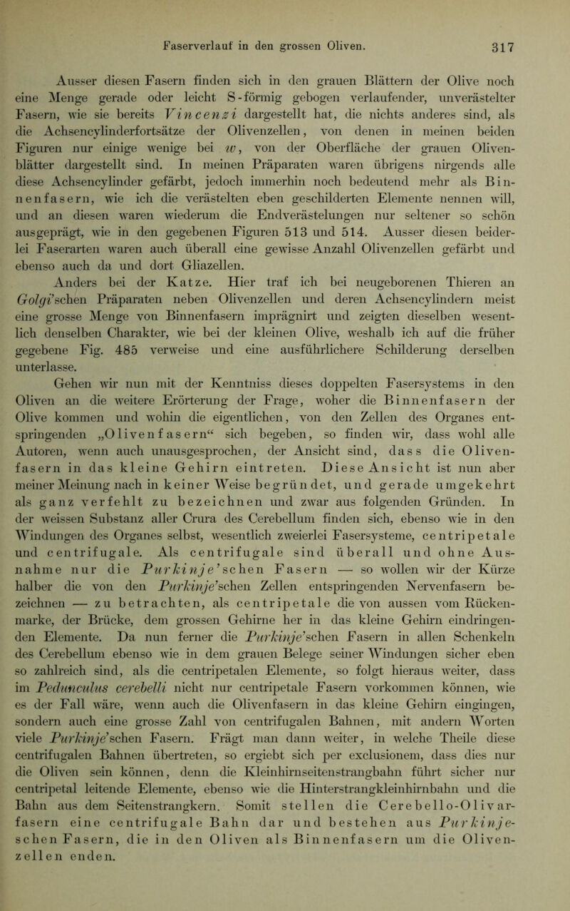 Ausser diesen Fasern finden sich in den grauen Blättern der Olive noch eine Menge gerade oder leicht S-förmig gebogen verlaufender, unverästelter Fasern, wie sie bereits Vincenzi dargestellt hat, die nichts anderes sind, als die Achsencylinderfortsätze der Olivenzellen, von denen in meinen beiden Figuren nur einige wenige bei w, von der Oberfläche der grauen Oliven- blätter dargestellt sind. In meinen Präparaten waren übrigens nirgends alle diese Achsencylinder gefärbt, jedoch immerhin noch bedeutend mehr als Bin- nenfasern, wie ich die verästelten eben geschilderten Elemente nennen will, und an diesen waren wiederum die Endverästelungen nur seltener so schön ausgeprägt, wie in den gegebenen Figuren 513 und 514. Ausser diesen beider- lei Faserarten waren auch überall eine gewisse Anzahl Olivenzellen gefärbt und ebenso auch da und dort Gliazellen. Anders bei der Katze. Hier traf ich bei neugeborenen Thieren an Golgi’sehen Präparaten neben Olivenzellen und deren Achsencylindern meist eine grosse Menge von Binnenfasern imprägnirt und zeigten dieselben wesent- lich denselben Charakter, wie bei der kleinen Olive, weshalb ich auf die früher gegebene Fig. 485 verweise und eine ausführlichere Schilderung derselben unterlasse. Gehen wir nun mit der Kenntniss dieses doppelten Fasersystems in den Oliven an die weitere Erörterung der Frage, woher die Binnenfasern der Olive kommen und wohin die eigentlichen, von den Zellen des Organes ent- springenden „Oliven f as ern“ sich begeben, so finden wir, dass wohl alle Autoren, wenn auch unausgesprochen, der Ansicht sind, dass die Oliven- fasern in das kleine Gehirn eintreten. Diese Ansicht ist nun aber meiner Meinung nach in keiner Weise begrün det, und gerade umgekehrt als ganz verfehlt zu bezeichnen und zwar aus folgenden Gründen. In der weissen Substanz aller Crura des Cerebellum finden sich, ebenso wie in den Windungen des Organes selbst, wesentlich zweierlei Fasersysteme, centripetale und centrifugale. Als centrifugale sind überall und ohne Aus- nahme nur die Purkinje’ sehen Fasern — so wollen wir der Kürze halber die von den Purkinje’sehen Zellen entspringenden Nervenfasern be- zeichnen — zu betrachten, als centripetale die von aussen vom Rücken- marke, der Brücke, dem grossen Gehirne her in das kleine Gehirn eindringen- den Elemente. Da nun ferner die Purkinje’sehen Fasern in allen Schenkeln des Cerebellum ebenso wie in dem grauen Belege seiner Windungen sicher eben so zahlreich sind, als die centripetalen Elemente, so folgt hieraus weiter, dass im Pedunculus cerebelli nicht nur centripetale Fasern Vorkommen können, wie es der Fall wäre, wenn auch die Olivenfasern in das kleine Gehirn eingingen, sondern auch eine grosse Zahl von centrifugalen Bahnen, mit andern Worten viele Purkinje’sehen Fasern. Frägt man dann weiter, in welche Theile diese centrifugalen Bahnen übertreten, so ergiebt sich per exclusionem, dass dies nur die Oliven sein können, denn die Kleinhirnseitenstrangbahn führt sicher nur centripetal leitende Elemente, ebenso wie die Hinterstrangkleinhirnbahn und die Bahn aus dem Seitenstrangkern. Somit stellen die Cerebello-Olivar- fasern eine centrifugale Bahn dar und bestehen aus Purkinje- schen Fasern, die in den Oliven als Binnenfasern um die Oliven- zellen enden.