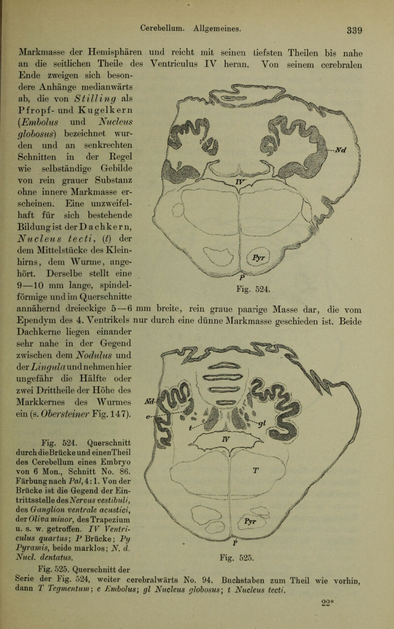 Markmasse der Hemisphären und reicht mit seinen tiefsten Theilen bis nahe an die seitlichen Theile des Yentriculus IV heran. Von seinem cerebralen Ende zweigen sich beson- dere Anhänge medianwärts ab, die von Stilling als Pfropf- und Kugelkern [Embolus und Nucleus globosus) bezeichnet wur- den und an senkrechten Schnitten in der Regel wie selbständige Gebilde von rein grauer Substanz ohne innere Markmasse er- scheinen. Eine unzweifel- haft für sich bestehende Bildung ist der Dachkern, Nucleus tecti, (t) der dem Mittelstücke des Klein- hirns, dem Wurme, ange- hört. Derselbe stellt eine 9—10 nun lange, spindel- förmige und im Querschnitte annähernd dreieckige 5—6 mm breite, rein graue paarige Masse dar, die vom Ependym des 4. Ventrikels nur durch eine dünne Markmasse geschieden ist. Beide Dachkerne liegen einander sehr nahe in der Gegend zwischen dem Nodulus und der Lingula und nehmen hier ungefähr die Hälfte oder zwei Drittheile der Höhe des Markkernes des Wurmes ein (s. Obersteiner Fig. 147). Fig. 524. Fig. 524. Querschnitt durch dießrücke und einenTheil des Cerebellum eines Embryo von 6 Mon., Schnitt No. 86. Färbung nach Pal, 4:1. Von der Brücke ist die Gegend der Ein- trittsstelle des Nervus vestibuli, des Ganglion ventrale acustici, der Oliva minor, des Trapezium u. s. w. getroffen. IV Ventri- culus quartus; P Brücke; Py Pyramis, beide marklos; N. d. Nucl. dentatus. Fig. 525. Fig. 525. Querschnitt der Serie der lig. 524, weiter cerebralwärts No. 94. Buchstaben zum Theil wie vorhin, dann T Tegmentum; e Embolus; gl Nucleus globosus; t Nucleus tecti. 22*