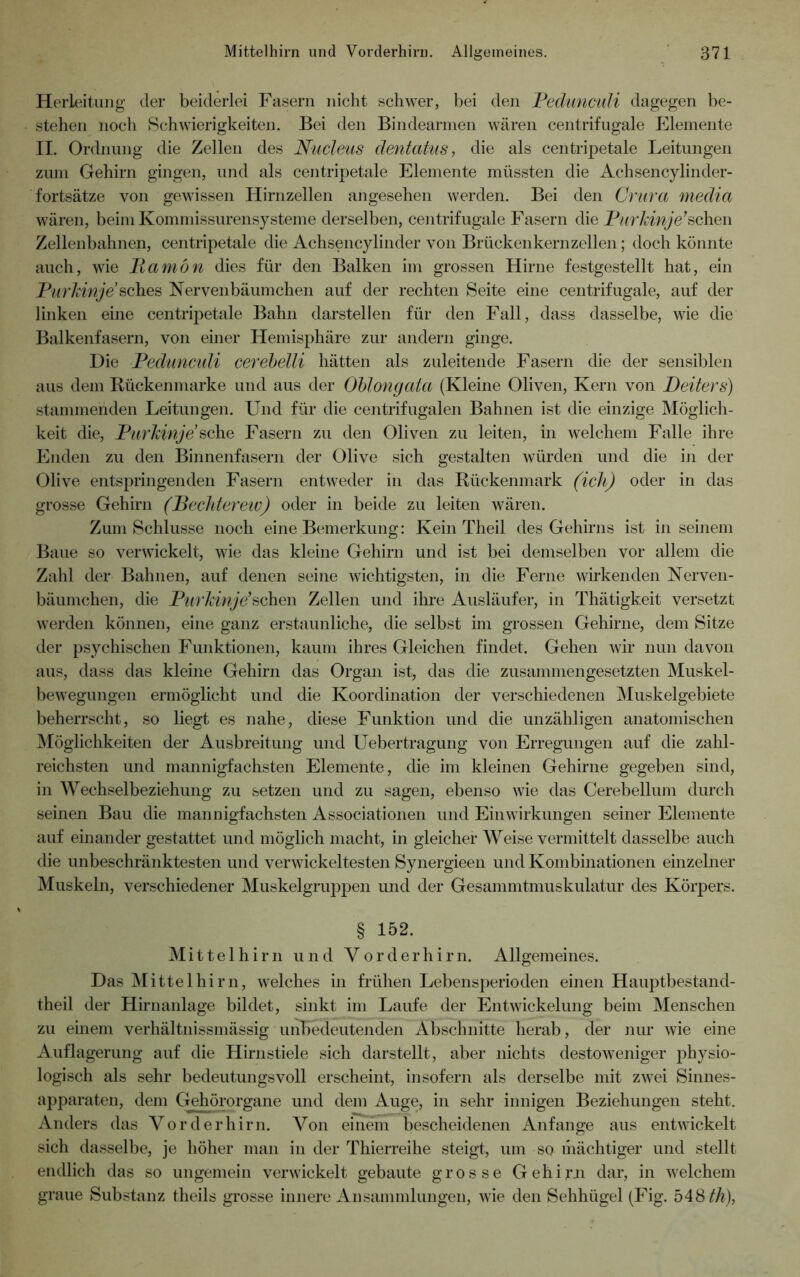 Herleitung der beiderlei Fasern nicht schwer, bei den Pedunculi dagegen be- stehen noch Schwierigkeiten. Bei den Bindearmen wären centrifugale Elemente II. Ordnung die Zellen des Nucleus dentatus, die als centripetale Leitungen zum Gehirn gingen, und als centripetale Elemente müssten die Achsencylinder- fortsätze von gewissen Hirnzellen angesehen werden. Bei den Cmra media wären, beim Kommissurensysteme derselben, centrifugale Fasern die Purkinje’sehen Zellenbahnen, centripetale die Achsencylinder von Brückenkernzellen; doch könnte auch, wie llamön dies für den Balken im grossen Hirne festgestellt hat, ein Purkinje' sches Nervenbäumchen auf der rechten Seite eine centrifugale, auf der linken eine centripetale Bahn darstellen für den Fall, dass dasselbe, wie die Balkenfasern, von einer Hemisphäre zur andern ginge. Hie Pedunculi cerebelli hätten als zuleitende Fasern die der sensiblen aus dem Rückenmarke und aus der Oblongata (Kleine Oliven, Kern von Deiters) stammenden Leitungen. Und für die centrifugalen Bahnen ist die einzige Möglich- keit die, Purkinje sehe Fasern zu den Oliven zu leiten, in welchem Falle ihre Enden zu den Binnenfasern der Olive sich gestalten würden und die in der Olive entspringenden Fasern entweder in das Rückenmark (ich) oder in das grosse Gehirn (Bechterew) oder in beide zu leiten wären. Zum Schlüsse noch eine Bemerkung: Kein Theil des Gehirns ist in seinem Baue so verwickelt, wie das kleine Gehirn und ist bei demselben vor allem die Zahl der Bahnen, auf denen seine wichtigsten, in die Ferne wirkenden Nerven - bäumchen, die Purkinje’sehen Zellen und ihre Ausläufer, in Thätigkeit versetzt werden können, eine ganz erstaunliche, die selbst im grossen Gehirne, dem Sitze der psychischen Funktionen, kaum ihres Gleichen findet. Gehen wir nun davon aus, dass das kleine Gehirn das Organ ist, das die zusammengesetzten Muskel- bewegungen ermöglicht und die Koordination der verschiedenen Muskelgebiete beherrscht, so liegt es nahe, diese Funktion und die unzähligen anatomischen Möglichkeiten der Ausbreitung und Uebertragung von Erregungen auf die zahl- reichsten und mannigfachsten Elemente, die im kleinen Gehirne gegeben sind, in Wechselbeziehung zu setzen und zu sagen, ebenso wie das Cerebellum durch seinen Bau die mannigfachsten Associationen und Einwirkungen seiner Elemente auf einander gestattet und möglich macht, in gleicher Weise vermittelt dasselbe auch die unbeschränktesten und verwickeltesten Synergieen und Kombinationen einzelner Muskeln, verschiedener Muskelgruppen und der Gesammtmuskulatur des Körpers. § 152. Mittelhirn und Vorderhirn. Allgemeines. Das Mittelhirn, welches in frühen Lebensperioden einen Hauptbestand- theil der Hirnanlage bildet, sinkt im Laufe der Entwickelung beim Menschen zu einem verhältnissmässig unbedeutenden Abschnitte herab, der nur wie eine Auflagerung auf die Hirnstiele sich darstellt, aber nichts destoweniger physio- logisch als sehr bedeutungsvoll erscheint, insofern als derselbe mit zwei Sinnes- apparaten, dem Gehörorgane und dem Auge, in sehr innigen Beziehungen steht. Anders das Vorderhirn. Von einem bescheidenen Anfänge aus entwickelt sich dasselbe, je höher man in der Thierreihe steigt, um so mächtiger und stellt endlich das so ungemein verwickelt gebaute grosse Gehirn dar, in welchem graue Substanz theils grosse innere Ansammlungen, wie den Sehhügel (Fig. 548^),