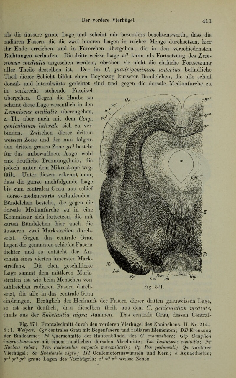 als die äussere graue Lage und scheint mir besonders beachtenswerth, dass die radiären Fasern, die die zwei inneren Lagen in reicher Menge durchsetzen, hier ihr Ende erreichen und in Fäserchen übergehen, die in den verschiedensten Richtungen verlaufen. Die dritte weisse Lage kann als Fortsetzung des Lem- niscus medialis angesehen w^erden, obschon sie nicht die einfache Fortsetzung aller Theile desselben ist. Der im C. quadrigeminum anterius befindliche Theil dieser Schicht bildet einen Bogenzug kürzerer Bündelchen, die alle schief dorsal- und lateralwärts gerichtet sind und gegen die dorsale Medianfurche zu hl senkrecht stehende Fascikel übergehen. Gegen die Haube zu scheint diese Lage wesentlich in den Lemniscus medialis überzugehen, z. Th. aber auch mit dem Corp, laterale sich zu ver- binden. Zwischen dieser dritten weissen Zone und der nun folgen- den dritten grauen Zone gr^ besteht für das unbewaffnete Auge wohl eine deutliche Trennungslinie, die jedoch unter dem Mikroskope weg- fäilt. Unter diesem erkennt man, dass die ganze nachfolgende Lage bis zum centralen Grau aus schief dorso - medianwärts verlaufenden Bündelchen besteht, die gegen die dorsale Medianfurche zu in eine Kommissur sich fortsetzen, die mit zarten Bündelchen hier auch die äusseren zwei Markstreifen durch- setzt. Gegen das centrale Grau liegen die genannten schiefen Fasern dichter und so entsteht der An- schein eines vierten innersten Mark- streifens. Die eben geschilderte Lage sammt dem mittleren Mark- streifen ist wie beim Menschen von setzt, die alle in das centrale Grau eindringen. Bezüglich der Herkunft der Fasern dieser dritten grauweissen Lage, so ist sehr deutlich, dass dieselben thcils aus dem C. genicidatum mediale, theils aus der Suhstantia nigra stammen. Das centrale Grau, dessen Central- Fig. 571. Frontalschnitt durch den vorderen Vierhügel des Kaninchens. II. Nr. 214a. 8:1. Weigert. G/r centrales Grau mit Bogenfasern und radiären Elementen; DR Kreuzung der Bindearme; Ft Querschnitte der Haubenbündel des C. mammiUare; Gip Ganglion interpednnculare mit einem rundlichen dorsalen Abschnitte; Lm Lemniscus medialis; Nr Nucleus rnher; Vcm Pedunculus corporis mammillaris; Pp Pes peduncnli; Qa vorderer Vierhügel; Sn Substantia nigra; III Oculomotoriuswurzeln und Kern; a Aquaeductus; gri gr* gr^ graue Lagen des Vierhügels; weisse Zonen. genicidatum