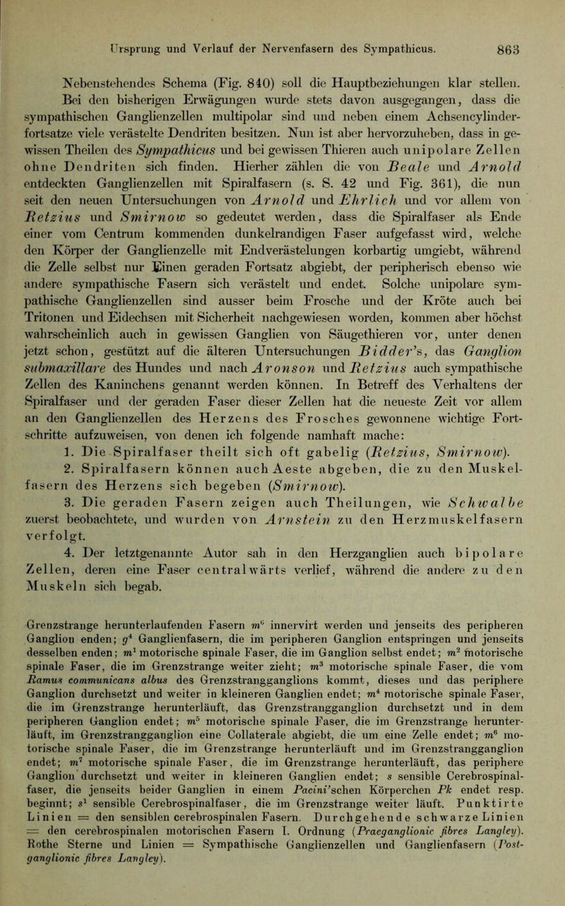 Nebenst<?hencles Schema (Fig. 840) soll die Hauptbeziehungen klar stellen. Bei den bisherigen Erwägungen wurde stets davon ausgegangen, dass die sympathischen Ganglienzellen multipolar sind und neben einem Achsencylinder- fortsatze viele verästelte Dendriten besitzen. Nun ist aber hervorzuheben, dass in ge- wissen Theilen des Sympathicus und bei gewissen Thieren auch unipolare Zellen ohne Dendriten sich finden. Hierher zählen die von Beate und Arnold entdeckten Ganglienzellen mit Spiralfasern (s. S. 42 und Fig. 361), die nun seit den neuen Untersuchungen Arnold Ehrlich und vor allem von Betzius und Smirnow so gedeutet werden, dass die Spiralfaser als Ende einer vom Centrum kommenden dunkelrandigen Faser aufgefasst wird, welche den Körper der Ganglienzelle mit Endverästelungen korbartig umgiebt, während die Zelle selbst nur Einen geraden Fortsatz abgiebt, der peripherisch ebenso wie andere sympathische Fasern sich verästelt und endet. Solche unipolare sym- pathische Ganglienzellen sind ausser beim Frosche und der Kröte auch bei Tritonen und Eidechsen mit Sicherheit nachgewiesen worden, kommen aber höchst wahrscheinlich auch in gewissen Ganglien von Säugethieren vor, unter denen jetzt schon, gestützt auf die älteren Untersuchungen Bidder’s, das Gafiglion suhmaxillare des Hundes und wdichAronson \mdi Betsius auch sympathische Zellen des Kaninchens genannt werden können. In Betreff des Verhaltens der Spiralfaser und der geraden Faser dieser Zellen hat die neueste Zeit vor allem an den Ganglienzellen des Herzens des Frosches gewonnene wichtige Fort- schritte aufzuweisen, von denen ich folgende namhaft mache: 1. Die Spiralfaser theilt sich oft gabelig (Betsius, Smirnoiv). 2. Spiralfasern können auch Aeste abgeben, die zu den Muskel- fasern des Herzens sich begeben (Smirnow). 3. Die geraden Fasern zeigen auch Theilungen, wie Schtv alhe zuerst beobachtete, und wurden von Arnstein zu den Herzmuskelfasern verfolgt. 4. Der letztgenannte Autor sah in den Herzganglien auch bipolare Zellen, deren eine Faser centralwärts verlief, während die andere zu den Muskeln sich begab. Grenzstrange herunterlaufenden Irasern innervirt werden und jenseits des peripheren Ganglion enden; g* Ganglienfasern, die im peripheren Ganglion entspringen und jenseits desselben enden; motorische spinale Faser, die im Ganglion seihst endet; fnotorische spinale Faser, die im Grenzstrange weiter zieht; w® motorische spinale Faser, die vom Ramua communicans albus des Grenzstrangganglions kommt, dieses und das periphere Ganglion durchsetzt und weiter in kleineren Ganglien endet; motorische spinale Faser, die im Grenzstrange herunterläuft, das Grenzstrangganglion durchsetzt und in dem peripheren Ganglion endet; motorische spinale Faser, die im Grenzstrange herunter- läuft, im Grenzstrangganglion eine Collaterale abgiebt, die um eine Zelle endet; m® mo- torische spinale Faser, die im Grenzstrange herunterläuft und im Grenzstrangganglion endet; rn’ motorische spinale Faser, die im Grenzstrange herunterläuft, das periphere Ganglion*durchsetzt und weiter in kleineren Ganglien endet; s sensible Cerebrospinal- faser, die jenseits beider Ganglien in einem Pacini’schen Körperchen Pk endet resp. beginnt; 5^ sensible Cerebrospinalfaser, die im Grenzstrange weiter läuft. Punktirte Linien = den sensiblen cerebrospinalen Fasern. Durchgehende schwarze Linien = den cerebrospinalen motorischen Fasern l. Ordnung {Praeganglionic fibres Langley). Rothe Sterne und Linien = Sympathische Ganglienzellen und Ganglienfasern (Post- ganglionic fibres Langley).