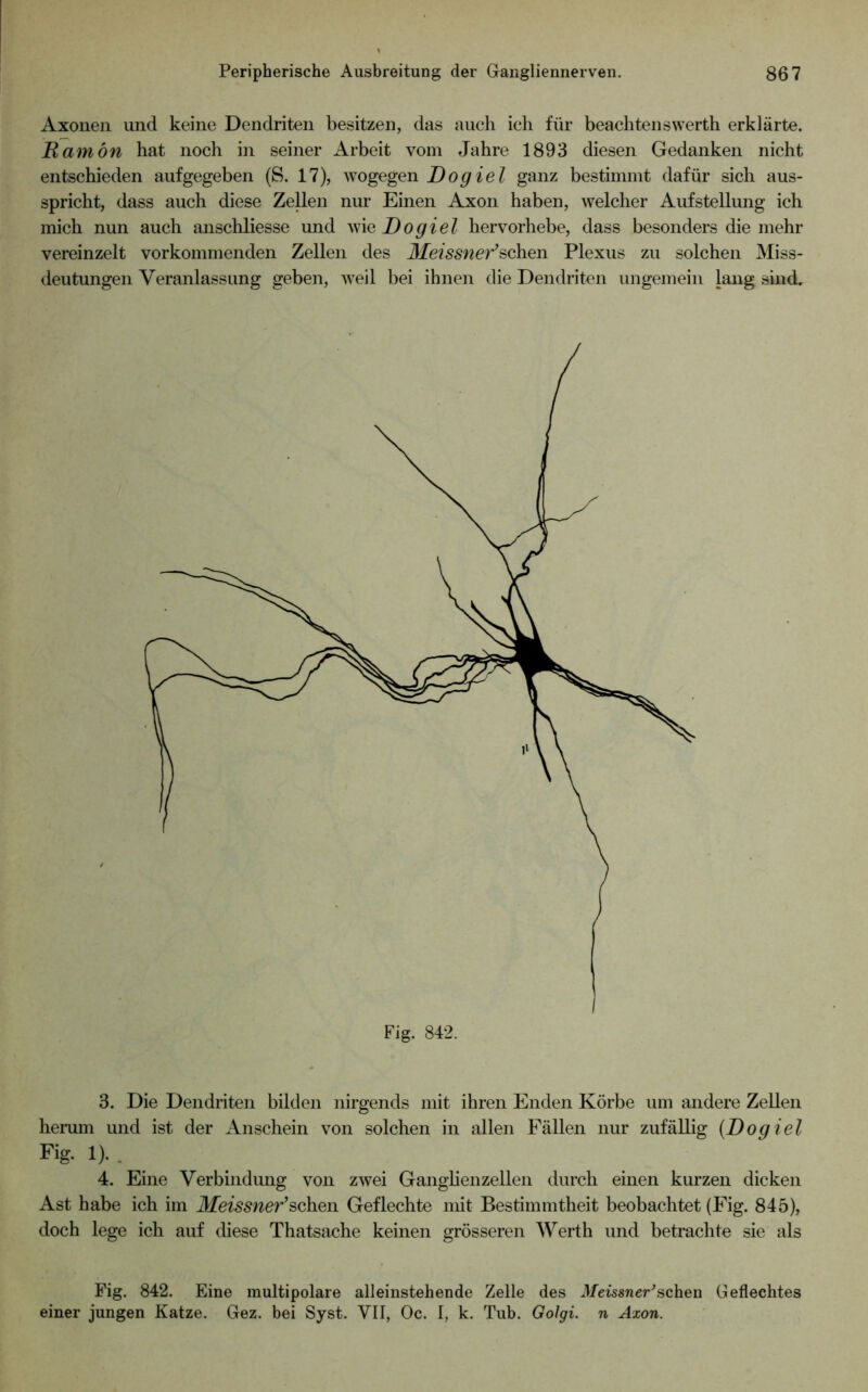 Axonen und keine Dendriten besitzen, das auch ich für beachtenswerth erklärte. Ramön hat noch in seiner Arbeit vom Jahre 1893 diesen Gedanken nicht entschieden aufgegeben (S. 17), wogegen Dogiel ganz bestimmt dafür sich aus- spricht, dass auch diese Zellen nur Einen Axon haben, welcher Aufstellung ich mich nun auch anschliesse und Dogiel hervorhebe, dass besonders die mehr vereinzelt vorkommenden Zellen des iliemwer’schen Plexus zu solchen Miss- deutungen Veranlassung geben, weil bei ihnen die Dendriten ungemein lang sind. 3. Die Dendriten bilden nirgends mit ihren Enden Körbe um andere Zellen hemm und ist der Anschein von solchen in allen Fällen nur zufällig {Dogiel Fig. 1). . 4. Eine Verbindung von zwei Ganglienzellen durch einen kurzen dicken Ast habe ich im Meissner^Geflechte mit Bestimmtheit beobachtet (Fig. 845), doch lege ich auf diese Thatsache keinen grösseren Werth und betrachte sie als Fig. 842. Eine multipolare alleinstehende Zelle des Meissner^sehen Geflechtes einer jungen Katze. Gez. bei Syst. VII, Oc. I, k. Tub. Golgi. n Axon.