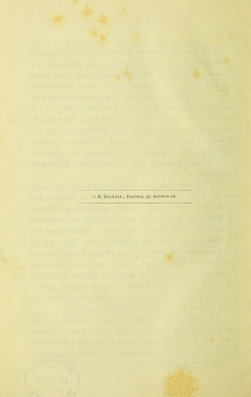 T, F. Richter, Hamburg, gr. Bleichen 33.
