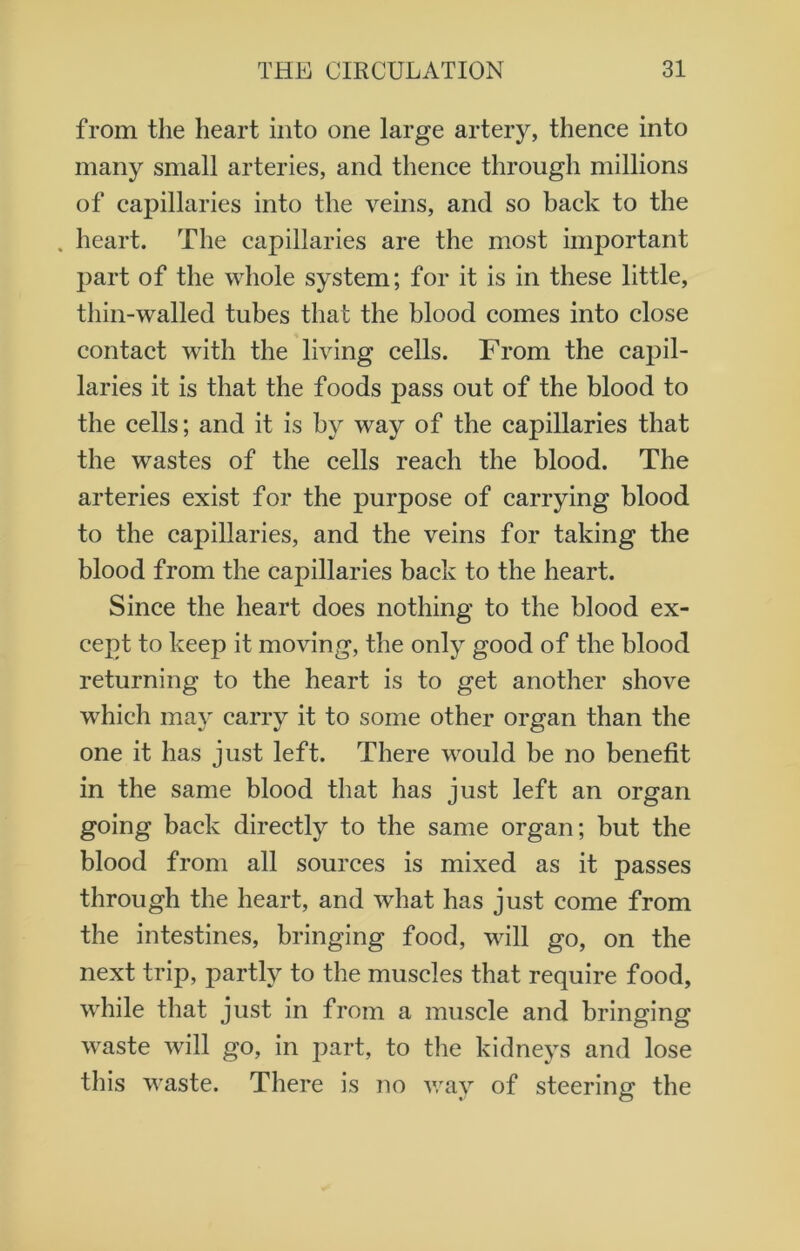 from the heart into one large artery, thence into many small arteries, and thence through millions of capillaries into the veins, and so back to the . heart. The capillaries are the most important part of the whole system; for it is in these little, thin-walled tubes that the blood comes into close contact with the living cells. From the capil- laries it is that the foods pass out of the blood to the cells; and it is by way of the capillaries that the wastes of the cells reach the blood. The arteries exist for the purpose of carrying blood to the capillaries, and the veins for taking the blood from the capillaries back to the heart. Since the heart does nothing to the blood ex- cept to keep it moving, the only good of the blood returning to the heart is to get another shove which may carry it to some other organ than the one it has just left. There would be no benefit in the same blood that has just left an organ going back directly to the same organ; but the blood from all sources is mixed as it passes through the heart, and what has just come from the intestines, bringing food, will go, on the next trip, partly to the muscles that require food, while that just in from a muscle and bringing waste will go, in part, to the kidneys and lose this waste. There is no way of steering the