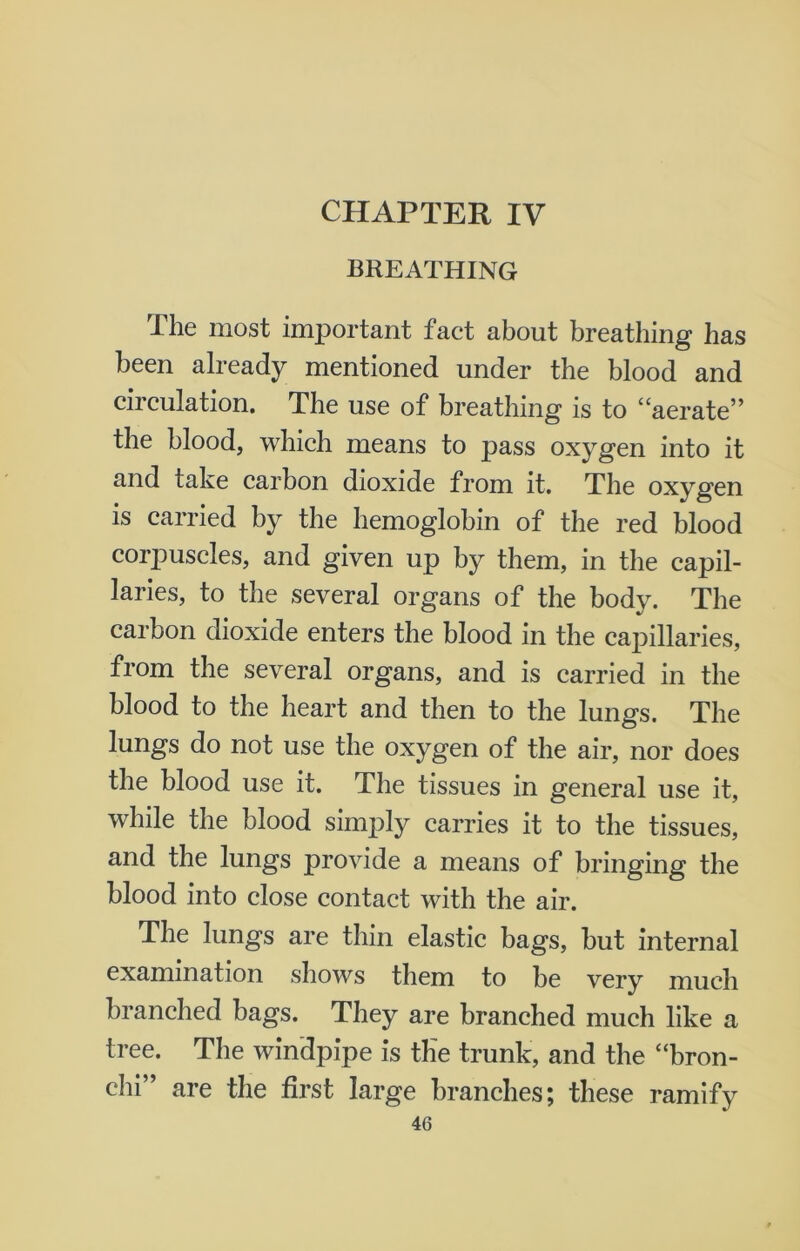 CHAPTER IV BREATHING The most important fact about breathing has been already mentioned under the blood and circulation. The use of breathing is to “aerate” the blood, which means to pass oxygen into it and take carbon dioxide from it. The oxygen is carried by the hemoglobin of the red blood corpuscles, and given up by them, in the capil- laries, to the several organs of the body. The carbon dioxide enters the blood in the capillaries, from the several organs, and is carried in the blood to the heart and then to the lungs. The lungs do not use the oxygen of the air, nor does the blood use it. The tissues in general use it, while the blood simply carries it to the tissues, and the lungs provide a means of bringing the blood into close contact with the air. The lungs are thin elastic bags, but internal examination shows them to be very much branched bags. They are branched much like a tree. The windpipe is the trunk, and the “bron- chi” are the first large branches; these ramify