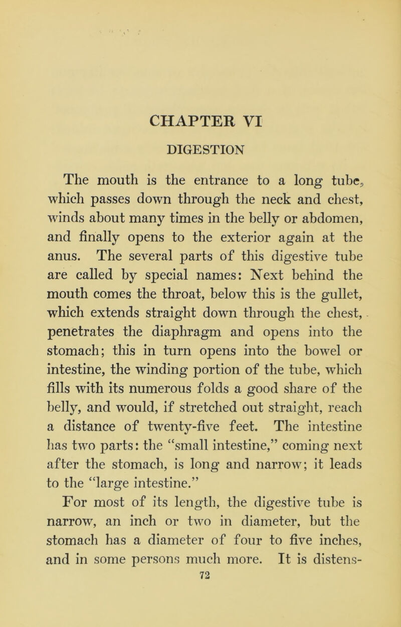 CHAPTER VI DIGESTION The mouth is the entrance to a long tube., which passes down through the neck and chest, winds about many times in the belly or abdomen, and finally opens to the exterior again at the anus. The several parts of this digestive tube are called by special names: Next behind the mouth comes the throat, below this is the gullet, which extends straight down through the chest, penetrates the diaphragm and opens into the stomach; this in turn opens into the bowel or intestine, the winding portion of the tube, which fills with its numerous folds a good share of the belly, and would, if stretched out straight, reach a distance of twenty-five feet. The intestine has two parts: the “small intestine,” coming next after the stomach, is long and narrow; it leads to the “large intestine.” For most of its length, the digestive tube is narrow, an inch or two in diameter, but the stomach has a diameter of four to five inches, and in some persons much more. It is distens-