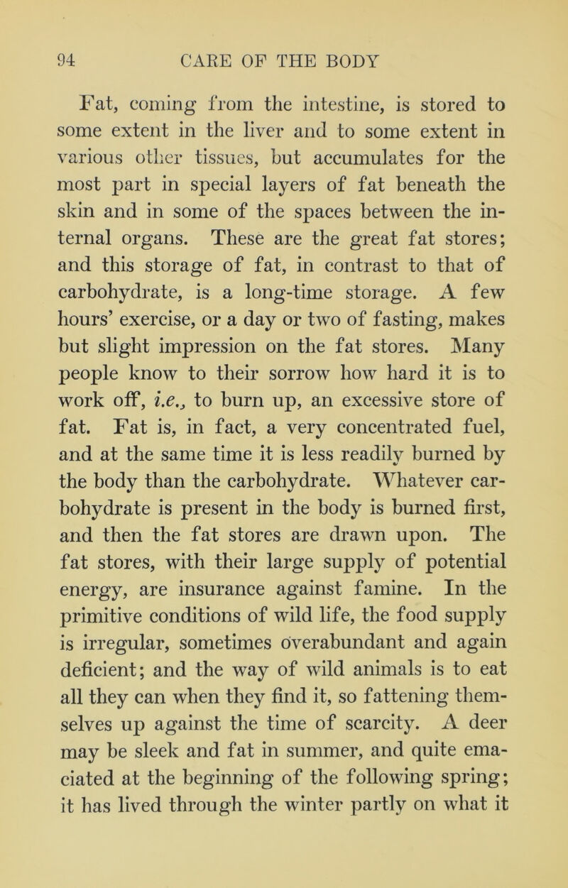 Fat, coming from the intestine, is stored to some extent in the liver and to some extent in various other tissues, but accumulates for the most part in special layers of fat beneath the skin and in some of the spaces between the in- ternal organs. These are the great fat stores; and this storage of fat, in contrast to that of carbohydrate, is a long-time storage. A few hours’ exercise, or a day or two of fasting, makes but slight impression on the fat stores. Many people know to their sorrow how hard it is to work off, i.e.j to burn up, an excessive store of fat. Fat is, in fact, a very concentrated fuel, and at the same time it is less readily burned by the body than the carbohydrate. Whatever car- bohydrate is present in the body is burned first, and then the fat stores are drawn upon. The fat stores, with their large supply of potential energy, are insurance against famine. In the primitive conditions of wild life, the food supply is irregular, sometimes overabundant and again deficient; and the way of wild animals is to eat all they can when they find it, so fattening them- selves up against the time of scarcity. A deer may be sleek and fat in summer, and quite ema- ciated at the beginning of the following spring; it has lived through the winter partly on what it