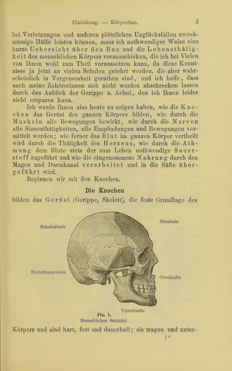 Einleituug. — Körperbau. bei Verletzungen und anderen plötzlichen Unglücksfällen zweck- mässige Hülfe leisten können, muss ich nothwendiger Weise eine kurze Uebersieht über den Ban und die L eb en sth ätig- keit des menschlichen Körpers vorausschicken, die ich bei Vielen von Ihnen wohl zum Tlieil voraussetzen kann, da diese Kennt- nisse ja jetzt an vielen Schulen gelehrt werden, die aber wahr- scheinlich in Vergessenheit gerathen sind, und ich hoffe, dass auch meine Zuhörerinnen sich nicht werden abschrecken lassen durch den Anblick der Gerippe u. Aehnh, den ich Ihnen leider nicht ersparen kann. Ich werde Ihnen also heute zu zeigen haben, wie die Kno- chen das Gerüst des ganzen Körpers bilden, wie durch die Muskeln alle Bewegungen bewirkt, wie durch die Nerven alle Sinnesthätigkeiten, alle Empfindungen und Bewegungen ver- mittelt werden; wie ferner das Blut im ganzen Körper vertheilt wird durch die Thätigkeit des Herzens, wie durch die Äth- in ung dem Blute stets der zum Leben nothweudige Sauer- stoff zugeführt und wie die eingenommene Nahrung durch den Magen und Darmkanal verarbeitet und in die Säfte über- geführt wird. Beginnen wir mit den Knochen. Die Knochen bilden das Gerüst (Gerippe, Skelett), die feste Grundlage des Scheitelbein Stirnbein Hinterhauptsbein Oberkiefer Unterkiefer Fis. 1. Menschlicher Schädel. Körpers und sind hart, fest und dauerhaft; sie tragen und unter- 1 *