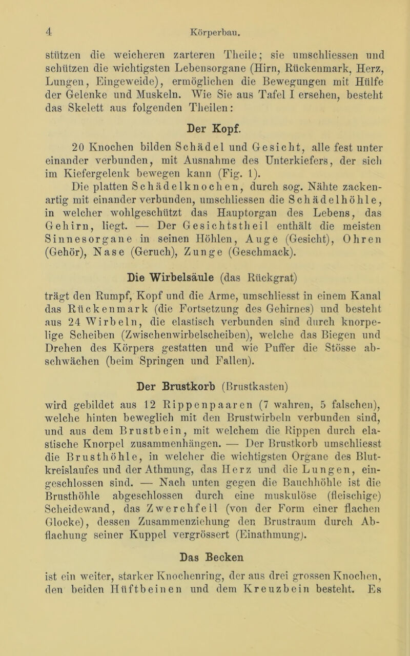 stützen die weicheren zarteren Tlieile; sie nmschliessen und schützen die wichtigsten Lebensorgane (Hirn, Rückenmark, Herz, Lungen, Eingeweide), ermöglichen die Bewegungen mit Hülfe der Gelenke und Muskeln. Wie Sie aus Tafel I ersehen, besteht das Skelett aus folgenden Theilen: Der Kopf. 20 Knochen bilden Schädel und Gesicht, alle fest unter einander verbunden, mit Ausnahme des Unterkiefers, der sich im Kiefergelenk bewegen kann (Fig. 1). Die platten Schädelknochen, durch sog. Nähte zacken- artig mit einander verbunden, nmschliessen die Schädelhöhle, in welcher wohlgeschützt das Hauptorgan des Lebens, das Gehirn, liegt. — Der Gesichtstheil enthält die meisten Sinnesorgane in seinen Höhlen, Auge (Gesicht), Ohren (Gehör), Nase (Geruch), Zunge (Geschmack). Die Wirbelsäule (das Rückgrat) trägt den Rumpf, Kopf und die Arme, umschliesst in einem Kanal das Rückenmark (die Fortsetzung des Gehirnes) und bestellt, aus 24 Wirbeln, die elastisch verbunden sind durch knorpe- lige Scheiben (Zwischenwirbelscheiben), welche das Biegen und Drehen des Körpers gestatten und wie Puffer die Stösse ab- schwächen (beim Springen und Fallen). Der Brustkorb (Brustkasten) wird gebildet aus 12 Rippenpaaren (7 wahren, 5 falschen), welche hinten beweglich mit den Brustwirbeln verbunden sind, und aus dem Brustbein, mit welchem die Rippen durch ela- stische Knorpel Zusammenhängen. — Der Brustkorb umschliesst die Brusthöhle, in welcher die wichtigsten Organe des Blut- kreislaufes und der Athmung, das Herz und die Lungen, ein- geschlossen sind. — Nach unten gegen die Bauchhöhle ist die Brusthöhle abgeschlossen durch eine muskulöse (fleischige) Scheidewand, das Zwerchfell (von der Form einer flachen Glocke), dessen Zusammenziehung den Brustraum durch Ab- flachung seiner Kuppel vergrössert (Finathmung). Das Becken ist ein weiter, starker Knochenring, der aus drei grossen Knochen, den beiden Hüftbeinen und dem Kreuzbein besteht. Es