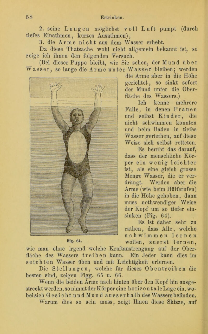 2. seine Lungen möglichst voll Luft pumpt (durch tiefes Einathmen, kurzes Ausathmen), 3. die Arme nicht aus dem Wasser erhebt. Da diese Thatsache wohl nicht allgemein bekannt ist, so zeige ich ihnen den folgenden Versuch. (Bei dieser Puppe bleibt, wie Sie sehen, der Mund über Wasser, so lange die Arme unter Wasser bleiben; werden die Arme aber in die Höhe gerichtet, so sinkt sofort der Mund unter die Ober- fläche des Wassers.) Ich kenne mehrere Fälle, in denen Frauen und selbst Kinder, die nicht schwimmen konnten und beim Baden in tiefes Wasser gerietken, auf diese Weise sich selbst retteten. Es beruht das darauf, dass der menschliche Kör- per ein wenig leichter ist, als eine gleich grosse Menge Wasser, die er ver- drängt. Werden aber die Arme (wie beim Hülferufen) in die Höhe gehoben, dann muss nothwendiger Weise der Kopf um so tiefer ein- sinken (Fig. 64). Es ist daher sehr zu rathen, dass Alle, welche schwimmen lernen F,s- wollen, zuerst lernen, wie man ohne irgend welche Kraftanstrengung auf der Ober- fläche des Wassers treiben kann. Ein Jeder kann dies im seichten Wasser üben und mit Leichtigkeit erlernen. Die Stellungen, welche für dieses Obentreiben die besten sind, zeigen Figg. 65 u. 66. Wenn die beiden Arme nach hinten über den Kopf hin ausge- streckt werden, so nimmt der Körper eine horizo n t a le Lage ein, wo- beisich Gesicht und Mund ausserhalb des Wassers befinden. Warum dies so sein muss, zeigt Ihnen diese Skizze, auf