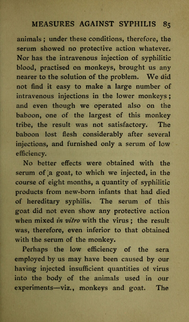 animals ; under these conditions, therefore, the serum showed no protective action whatever. Nor has the intravenous injection of syphilitic blood, practised on monkeys, brought us any nearer to the solution of the problem. We did not find it easy to make a large number of intravenous injections in the lower monkeys ; and even though we operated also on the baboon, one of the largest of this monkey tribe, the result was not satisfactory. The baboon lost flesh considerably after several injections, and furnished only a serum of low efficiency. No better effects were obtained with the serum of ka goat, to which we injected, in the course of eight months, a quantity of syphilitic products from new-born infants that had died of hereditary syphilis. The serum of this goat did not even show any protective action when mixed in vitro with the virus ; the result was, therefore, even inferior to that obtained with the serum of the monkey. Perhaps the low efficiency of the sera employed by us may have been caused by our having injected insufficient quantities of virus into the body of the animals used in our experiments—viz., monkeys and goat. The