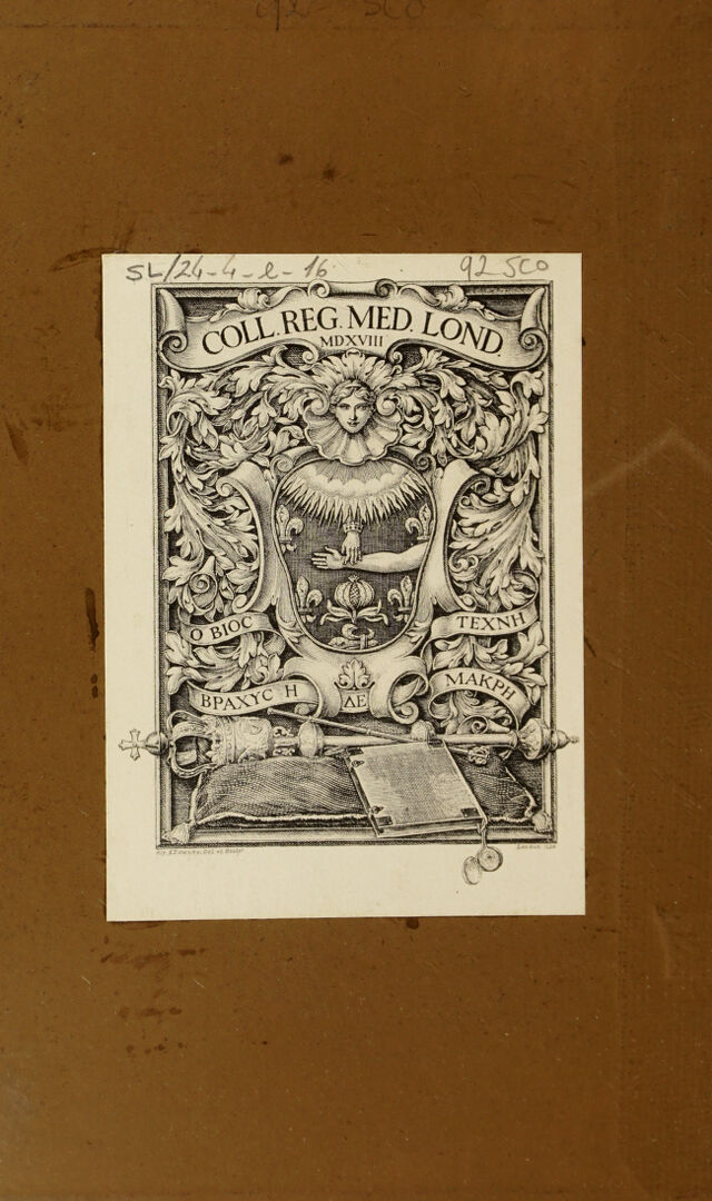 digitised image 2