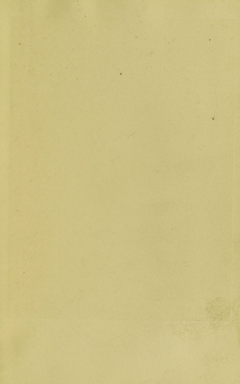 • ^ /. r» / ' i '.■S ': 1 i\ -r