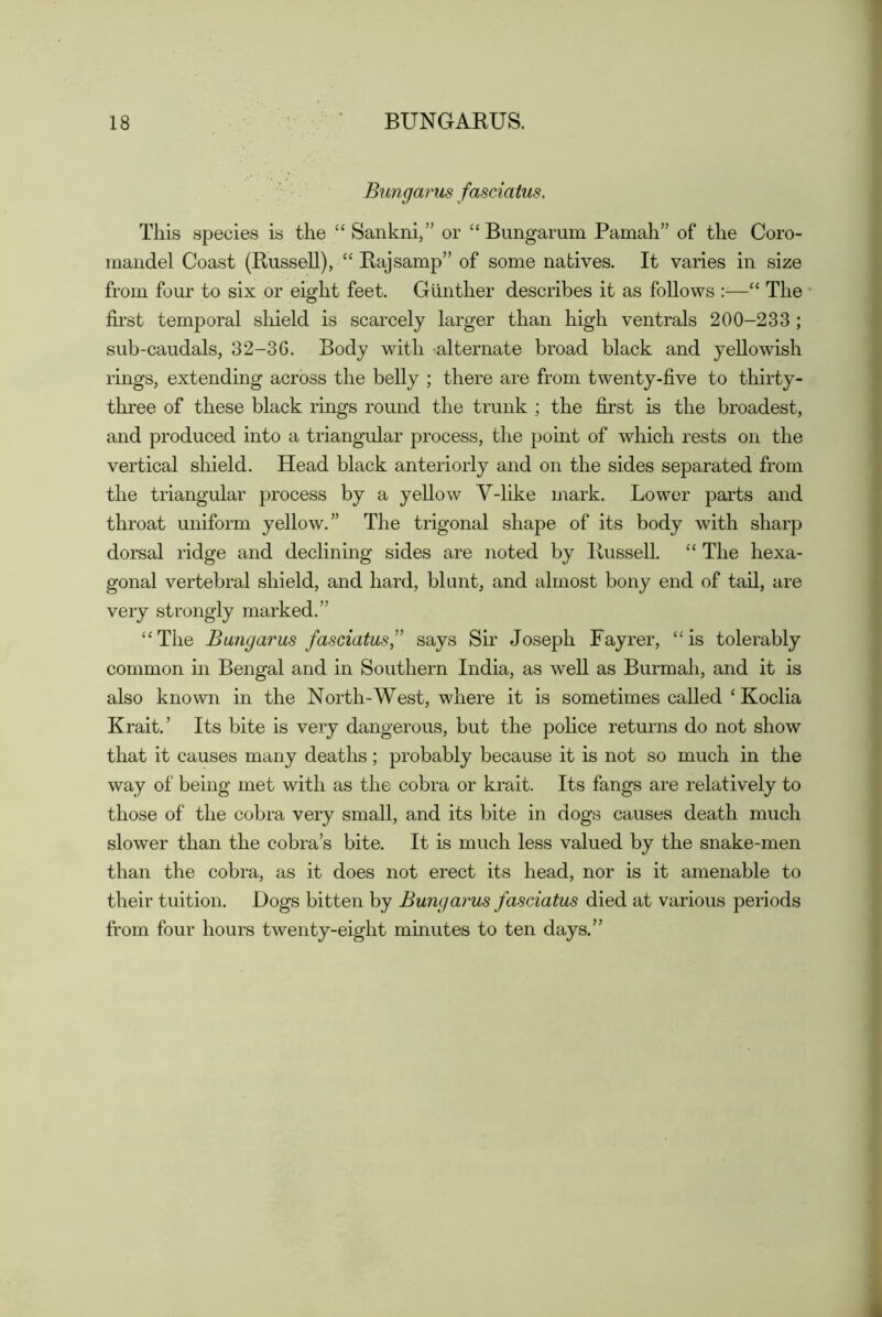 Bungarus fasciatus. This species is the “ Sankni,” or “ Bungarum Pamah” of the Coro- mandel Coast (Bussell), “ Bajsamp” of some natives. It varies in size from four to six or eight feet. Gunther describes it as follows :—“ The fii’st temporal sliield is scarcely larger than high ventrals 200-233 ; sub-caudals, 32-36. Body with alternate broad black and yellowish rings, extending across the belly ; there are from twenty-five to thirty- three of these black rings round the trunk ; the first is the broadest, and produced into a triangidar process, the point of wliich rests on the vertical shield. Head black anteriorly and on the sides separated from the triangular process by a yellow V-like mark. Lower parts and throat uniform yellow.” The trigonal shape of its body with sharp dorsal ridge and declining sides are noted by Bussell. “ The hexa- gonal vertebral shield, and hard, blunt, and almost bony end of tail, are very strongly marked.” “The Bungarus fasciatus,^’ says Sir Joseph Fayrer, “is tolerably common in Bengal and in Southern India, as well as Burmah, and it is also known in the North-West, where it is sometimes called ‘ Koclia Krait.’ Its bite is veiy dangerous, but the pohce returns do not show that it causes many deaths; probably because it is not so much in the way of being met with as the cobra or krait. Its fangs are relatively to those of the cobra very small, and its bite in dogs causes death much slower than the cobra’s bite. It is much less valued by the snake-men than the cobra, as it does not erect its head, nor is it amenable to their tuition. Dogs bitten by Bungarus fasciatus died at various periods from four hours twenty-eight minutes to ten days.”
