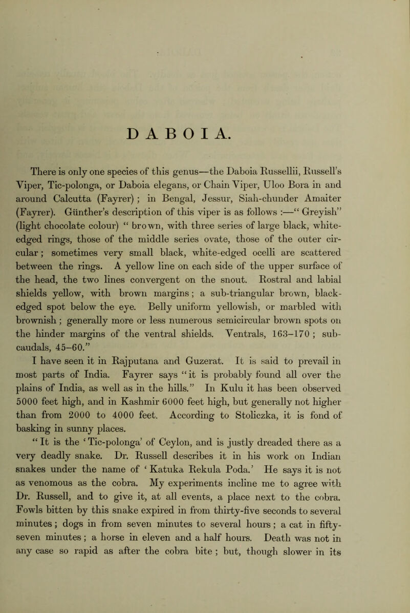 D A B O I A. There is only one species of this genus—the Daboia Russellii, Russell’s Viper, Tic-polonga, or Daboia elegans, or Chain Viper, Uloo Bora in and around Calcutta (Fayrer) ; in Bengal, Jessur, Siah-chunder Amaiter (Fayrer). Gunther’s description of this viper is as follows :—“ Greyish” (light chocolate colour) “ brown, with three series of large black, white- edged rings, those of the middle series ovate, those of the outer cir- cular ; sometimes very small black, white-edged ocelli are scattered between the rings. A yellow line on each side of the upper surface of the head, the two lines convergent on the snout. Rostral and labial shields yellow, with brown margins; a sub-triangular brown, black- edged spot below the eye. Belly uniform yellowish, or marbled with brownish ; generally more or less numerous semicircular brown spots on the hinder margins of the ventral shields. Ventrals, 16.3-170 ; sub- caudals, 45-60.” I have seen it in Rajputana and Guzerat. It is said to prevail in most parts of India. Fayrer says “it is probably found all over the plains of India, as well as in the hills.” In Kulu it has been observed 5000 feet high, and in Kashmir 6000 feet high, but generally not higher than from 2000 to 4000 feet. According to Stoliczka, it is fond of basking in sunny places. “ It is the ‘ Tic-polonga’ of Ceylon, and is justly dreaded there as a very deadly snake. Dr. Russell describes it in his work on Indian snakes under the name of ‘ Katuka Rekula Poda. ’ He says it is not as venomous as the cobra. My experiments incline me to agree with Dr. Russell, and to give it, at all events, a place next to the cobra. Fowls bitten by this snake expired in from thirty-five seconds to several minutes; dogs in from seven minutes to several hours; a cat in fifty- seven minutes ; a horse in eleven and a half hours. Death was not in any case so rapid as after the cobra bite ; but, though slower in its