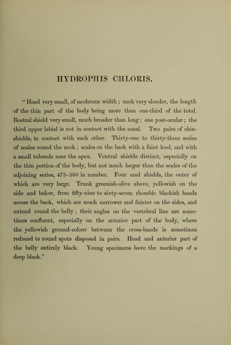 “ Head very small, of moderate width ; neck very slender, the length of the thin part of the body being more than one-thu’d of the total. Hostral shield very small, much broader than long ; one post-ocular; the third upper labial is not in contact with the nasal. Two pairs of chin- shields, in contact with each other. Thirty-one to thirty-three series of scales round the neck; scales on the back with a faint keel, and with a small tubercle near the apex. Ventral shields distinct, especially on the thin portion of the body, but not much larger than the scales of the adjoining series, 473-500 in number. Four anal shields, the outer of which are very large. Trunk greenish-olive above, yellowish on the side and below, from fifty-nine to sixty-seven rhombic blackish bands across the back, which are much narrower and fainter on the sides, and extend round the belly; their angles on the vertebral line are some- times confluent, especially on the anterior part of the body, where the yellowish ground-colour between the cross-bands is sometimes reduced to round spots disposed in pairs. Head and anterior part of the belly entirely black. Young specimens have the markings of a deep black.”