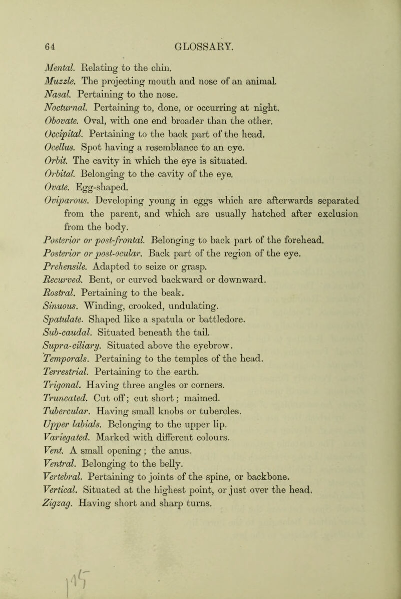 Mental. Relating to the chin. Muzzle. The projecting mouth and nose of an animal. Nasal. Pertaining to the nose. Nocturnal. Pertaining to, done, or occurring at night. Obovate. Oval, with one end broader than the other. Occipital. Pertaining to the back part of the head. Ocellus. Spot having a resemblance to an eye. Orbit. The cavity in which the eye is situated. Orbital. Belonging to the cavity of the eye. Ovate. Egg-shaped, Oviparous. Developing young in eggs which are afterwards separated from the parent, and which are usually hatched after exclusion from the body. Posterior or post-frontal. Belonging to back part of the forehead. Posterior or post-ocular. Back part of the region of the eye. Prehensile. Adapted to seize or grasp, Recurved. Bent, or curved backward or downward. Rostral. Pertaining to the beak. Sinuous. Winding, crooked, undulating. Spatulate. Shaped like a spatula or battledore. Sub-caudal. Situated beneath the taU. Supra-ciliary. Situated above the eyebrow. Temporals. Pertaining to the temples of the head. Terrestrial. Pertaining to the earth. Trigonal. Having three angles or corners. Truncated. Cut off; cut short; maimed. Tubercular. Having small knobs or tubercles. Upper labials. Belonging to the upper lip. Variegated. Marked with different colours. Vent. A small opening ; the anus. Ventral. Belonging to the belly. Vertebral. Pertaining to joints of the spine, or backbone. Vertical. Situated at the highest point, or just over the head. Zigzag. Having short and sharp turns,