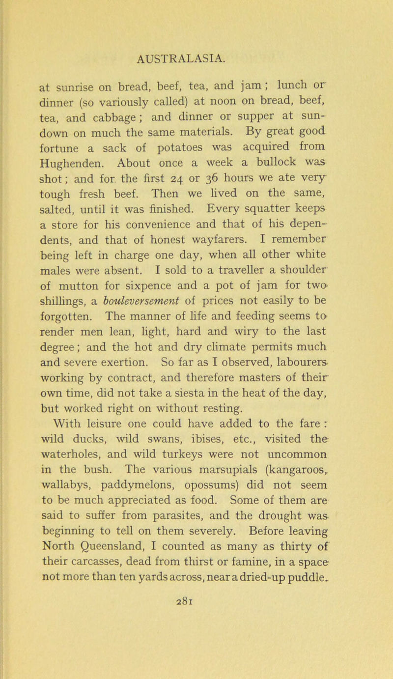 at sunrise on bread, beef, tea, and jam ; lunch or dinner (so variously called) at noon on bread, beef, tea, and cabbage; and dinner or supper at sun- down on much the same materials. By great good fortune a sack of potatoes was acquired from Hughenden. About once a week a bullock was shot; and for the first 24 or 36 hours we ate very tough fresh beef. Then we lived on the same, salted, until it was finished. Every squatter keeps a store for his convenience and that of his depen- dents, and that of honest wayfarers. I remember being left in charge one day, when all other white males were absent. I sold to a traveller a shoulder of mutton for sixpence and a pot of jam for two- shillings, a bouleversement of prices not easily to be forgotten. The manner of life and feeding seems to render men lean, light, hard and wiry to the last degree; and the hot and dry climate permits much and severe exertion. So far as I observed, labourers working by contract, and therefore masters of their own time, did not take a siesta in the heat of the day, but worked right on without resting. With leisure one could have added to the fare r wild ducks, wild swans, ibises, etc., visited the waterholes, and wild turkeys were not uncommon in the bush. The various marsupials (kangaroos, wallabys, paddymelons, opossums) did not seem to be much appreciated as food. Some of them are said to suffer from parasites, and the drought was beginning to tell on them severely. Before leaving North Queensland, I counted as many as thirty of their carcasses, dead from thirst or famine, in a space- not more than ten yards across, near a dried-up puddle.
