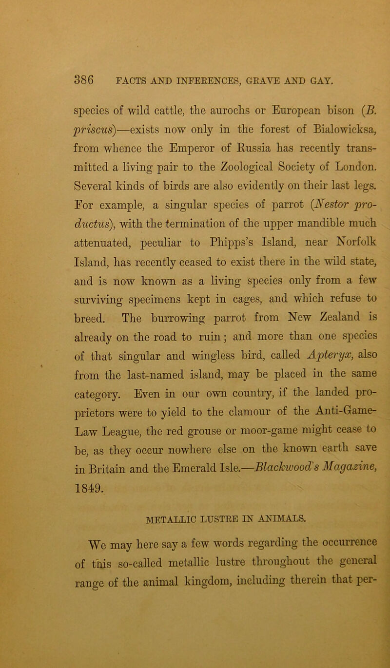 species of wild cattle, the aurochs or European bison (B. prisons)—exists now only in the forest of Bialowicksa, from whence the Emperor of Russia has recently trans- mitted a living pair to the Zoological Society of London. Several kinds of birds are also evidently on their last legs. For example, a singular species of parrot (Nestor pro- ductus), with the termination of the upper mandible much attenuated, peculiar to Phipps’s Island, near Norfolk Island, has recently ceased to exist there in the wild state, and is now known as a living species only from a few surviving specimens kept in cages, and which refuse to breed. The burrowing parrot from New Zealand is already on the road to ruin; and more than one species of that singular and wingless bird, called Apteryx, also from the last-named island, may be placed in the same category. Even in our own country, if the landed pro- prietors were to yield to the clamour of the Anti-Game- Law League, the red grouse or moor-game might cease to be, as they occur nowhere else on the known earth save in Britain and the Emerald Isle.—Blackwood's Magazine, 1849. METALLIC LUSTRE IN ANIMALS. We may here say a few words regarding the occurrence of this so-called metallic lustre throughout the general range of the animal kingdom, including therein that per-