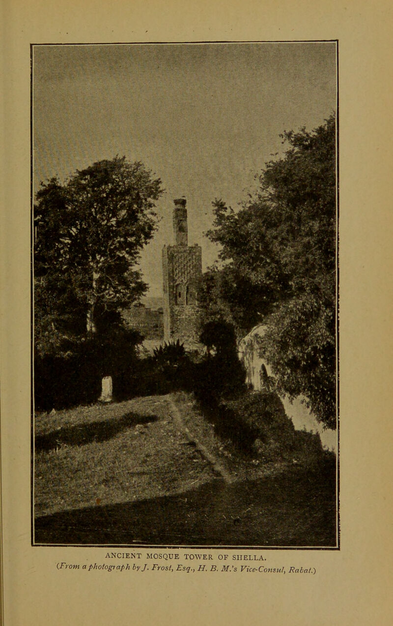 ANCIENT MOSQUE TOWER OF SHELLA. {From Photograph byj. Frost, Esq., H. B. M.’s Vice-Consul, Rabat.)