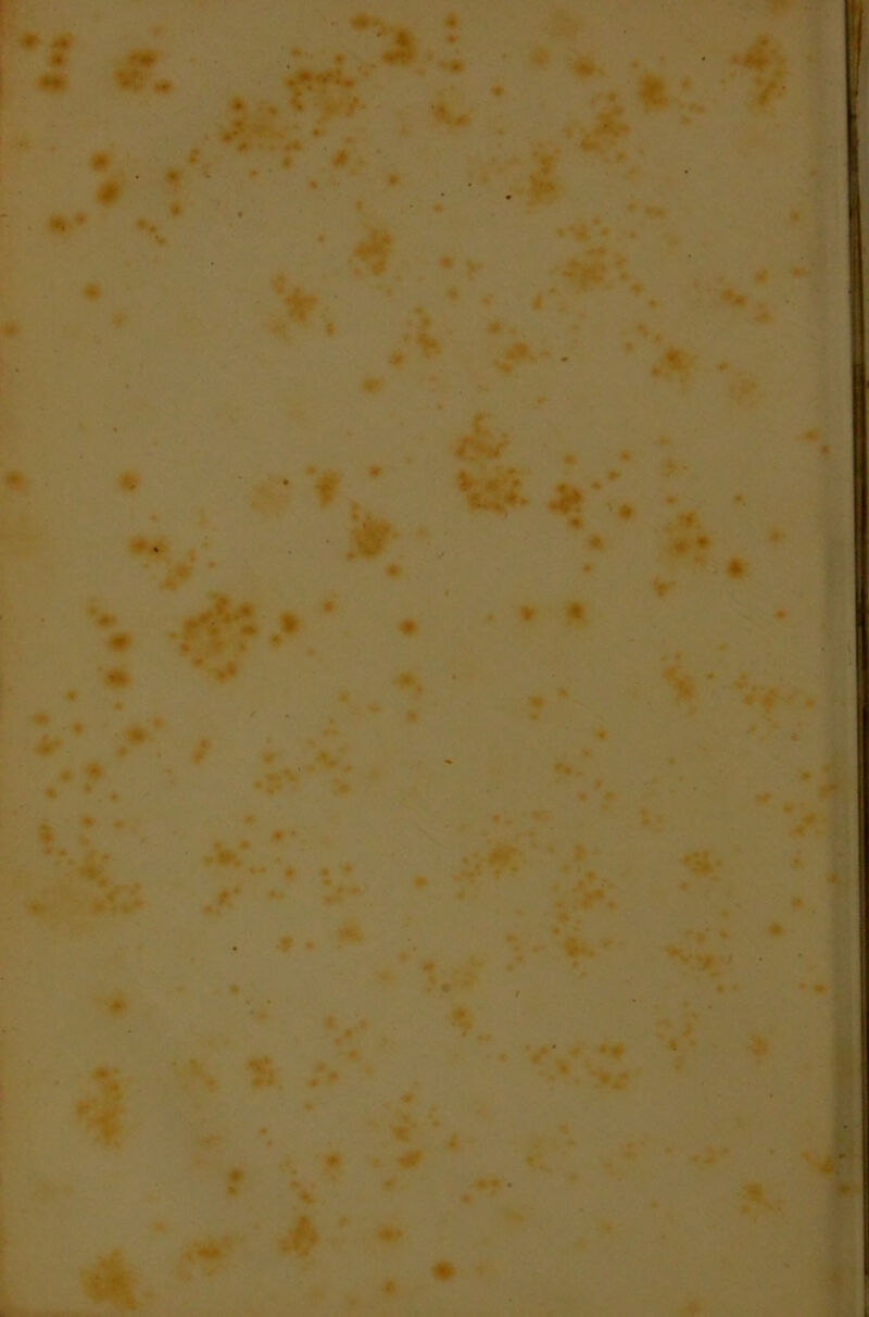 * . ■ - *• ' * * - «* .. * • < **- * ■ i # . • • m • ., jk • * -At / •* * ' * * f ^ . ».;. V'* * •. '* ' *♦ * • ir / . • * *• ♦ t ♦ . * • % ' * ■ + *#■ # »* A • *»- V * * : ’ V ' «*’ .V