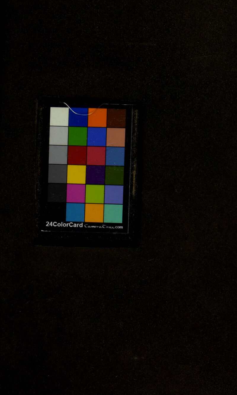 No text description is available for this image