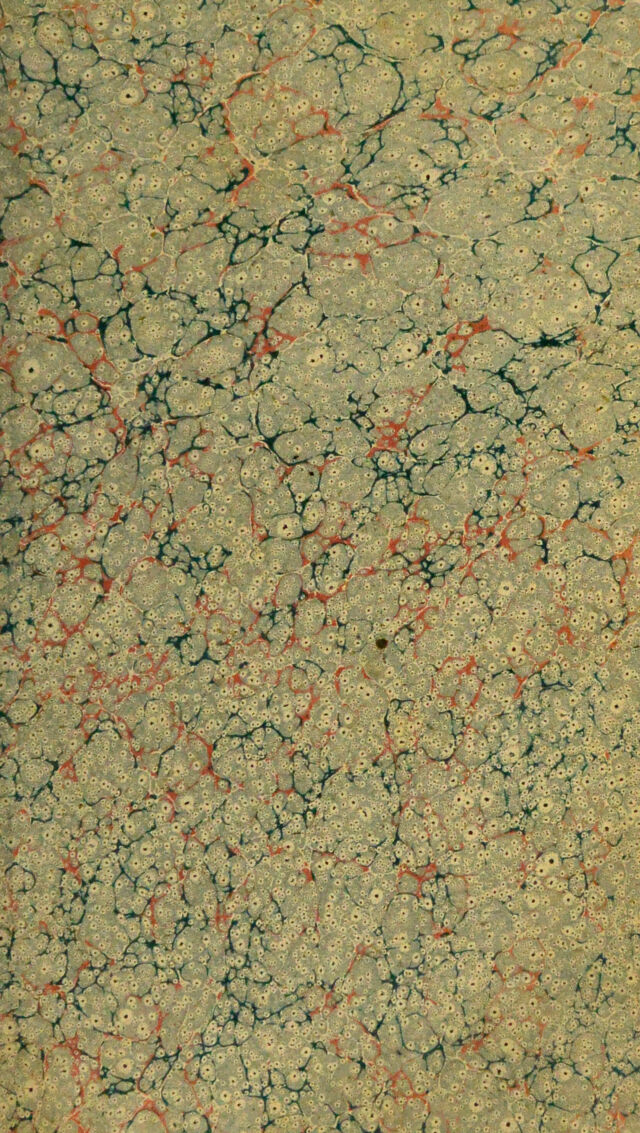 digitised image 3
