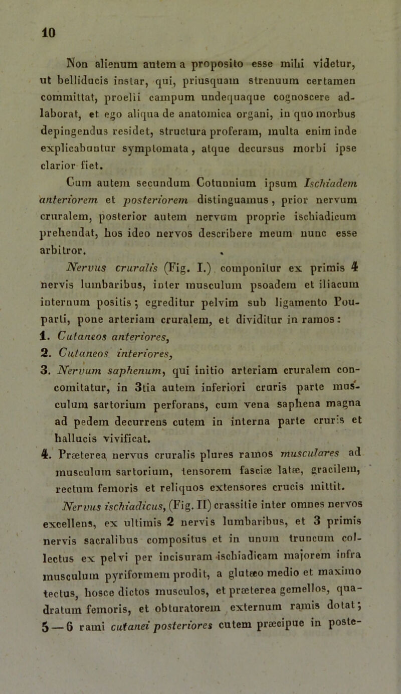 Non alienum autem a proposito esse mihi videtur, ut belliducis instar, qui, priusquam strenuum certamen committat, proelii campum undequaque cognoscere ad- laborat, et ego aliqua de anatomica organi, in quo morbus depingendus residet, structura proferam, multa enim inde explicabuntur symptomata, atque decursus morbi ipse clarior fiet. Cum autem secundum Cotunnium ipsum Ischiadem anteriorem et posteriorem distinguamus, prior nervum cruralem, posterior autem nervum proprie ischiadicum prehendat, hos ideo nervos describere meum nunc esse arbitror. Nervus cruralis (Fig. I.) componitur ex primis 4 nervis lumbaribus, inter musculum psoadem et iliacum internum positis j egreditur pelvim sub ligamento Pou- parti, pone arteriam cruralem, et dividitur in ramos: 1. Cutaneos anteriores, 2. Cutaneos interiores, 3. Nervum saphenum, qui initio arteriam cruralem con- comitatur, in 3tia autem inferiori cruris parte mus- culum sartorium perforans, cum vena saphena magna ad pedem decurrens cutem in interna parte crur;s et hallucis vivificat. 4. Preeterea, nervus cruralis plures ramos musculares ad musculum sartorium, tensorem fasciee lalee, gracilem, rectum femoris et reliquos extensores crucis mittit. Nervus ischiadicus, (Fig. II) crassilie inter omnes nervos excellens, ex ultimis 2 nervis lumbaribus, et 3 primis nervis sacralibus compositus et in unum truncum col- lectus ex pelvi per incisuram'ischiadicara maiorem infra musculum pyriforinem prodit, a gluteeo medio et maximo tectus, hosce dictos musculos, et preeterea gemellos, qua- dratum femoris, et obturatorem externum ramis dotat; 5 — 6 rami cutanei posteriores cutem praecipue in poste-