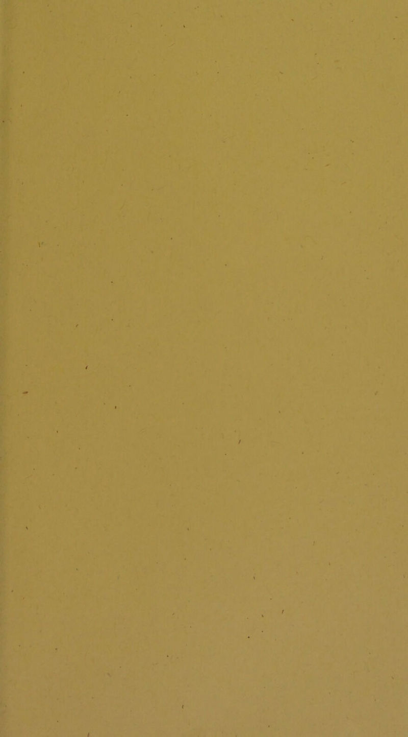 J/ * * i / % 1^'' i * • j S V ^ i I I k I t 4 I!’ (> r t7 I ».' • t 1 ’‘ f f { y \ X \- \. \ / / .■' -r \i I