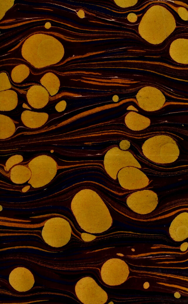 digitised image 3