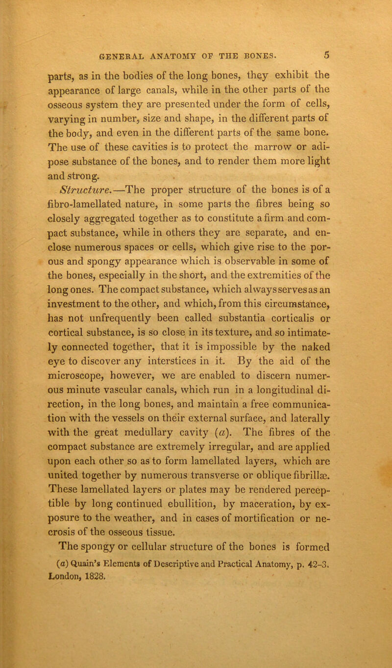parts, as in the bodies of the long bones, they exhibit the appearance of large canals, while in the other parts of the osseous system they are presented under the form of cells, varying in number, size and shape, in the different parts of the body, and even in the different parts of the same bone. The use of these cavities is to protect the marrow or adi- pose substance of the bones, and to render them more light and strong. Structure.—The proper structure of the bones is of a fibro-lamellated nature, in some parts the fibres being so closely aggregated together as to constitute a firm and com- pact substance, while in others they are separate, and en- close numerous spaces or cells, which give rise to the por- ous and spongy appearance which is observable in some of the bones, especially in the short, and the extremities of the long ones. The compact substance, which always serves as an investment to the other, and which, from this circumstance, has not unfrequently been called substantia corticalis or cortical substance, is so close in its texture, and so intimate- ly connected together, that it is impossible by the naked eye to discover any interstices in it. By the aid of the microscope, however, we are enabled to discern numer- ous minute vascular canals, which run in a longitudinal di- rection, in the long bones, and maintain a free communica- tion with the vessels on their external surface, and laterally with the great medullary cavity (a). The fibres of the compact substance are extremely irregular, and are applied upon each other so as to form lamellated layers, which are united together by numerous transverse or oblique fibrillar. These lamellated layers or plates may be rendered percep- tible by long continued ebullition, by maceration, by ex- posure to the weather, and in cases of mortification or ne- crosis of the osseous tissue. The spongy or cellular structure of the bones is formed (a) Quain’s Elements of Descriptive and Practical Anatomy, p. 42-3. London, 1828.