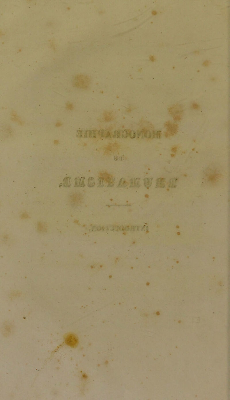 4 .j-r. rf : * < m f *